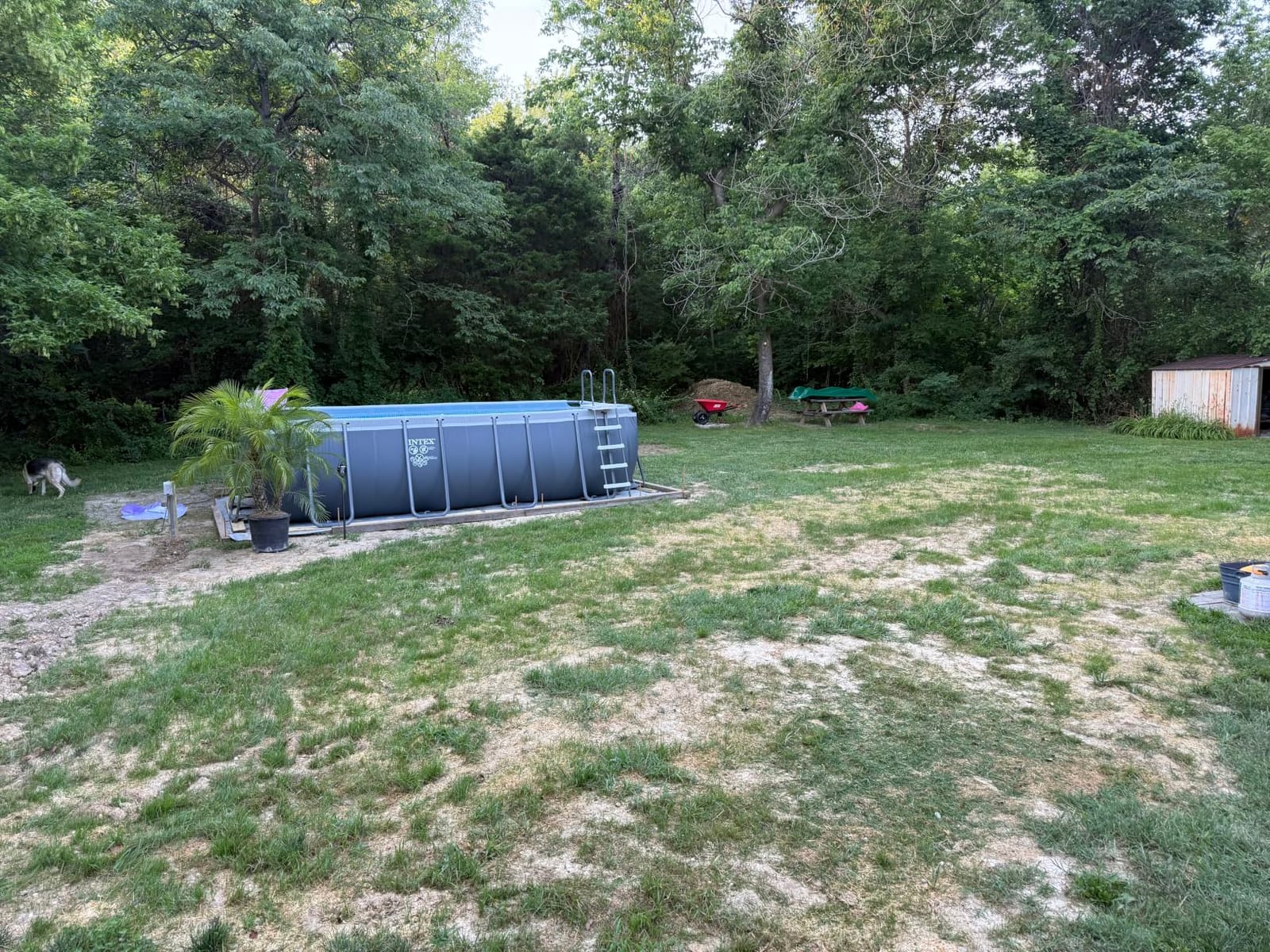 Intex 26373EH Ultra XTR 32ft x 16ft x 52in Above Ground Swimming Pool Set with Sand Filter Pump and OptiFlow 50 lb Premium Filter Sand (2-Pack) customer photo 1