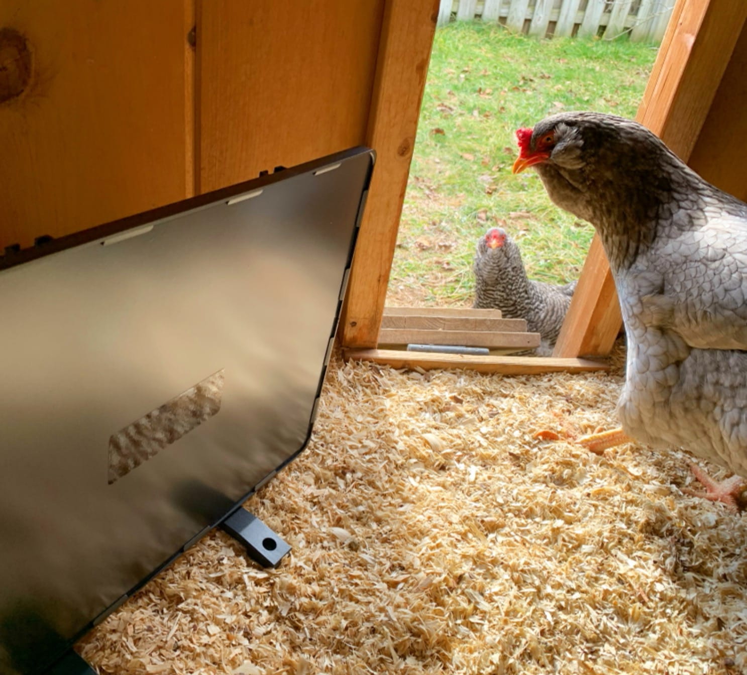 Chicken Coop Heater for Winter with Remote APP Control, 30''x12'' Large Foldable Chicken Heaters Warmer Inside Coop with Adjustable Timer Temp, 180W Safe Flat Panel Radiant Heater for Chickens Coops customer photo 2