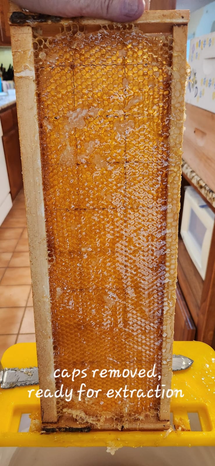 VEVOR Honey Extractor, 6 Frame Manual Honey Extractor with Transparent Lid, Honeycomb Drum Spinner with Height Adjustable Stand, Honeycomb Extraction Centrifuge Equipment for Beekeeping customer photo 2
