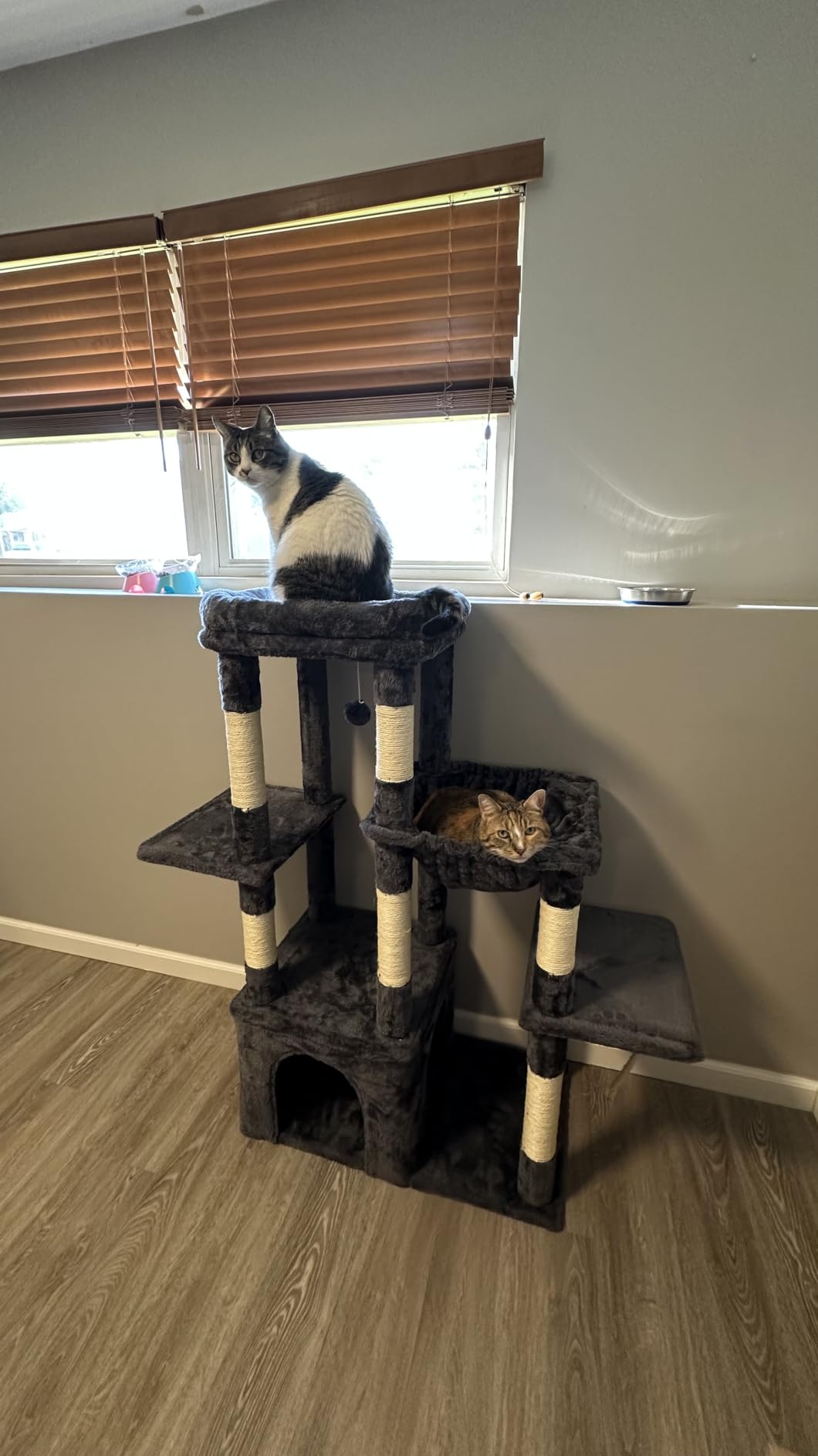 Heybly Heavy Duty Cat Tree, Tower for Indoor Cats Large Adult, Tall Cat Condo House with Extra-Large Baseboard, Multi-Level Plush Furniture with Scratching Posts, Hammock, Toy Balls, Light Gray HCT026W customer photo 1