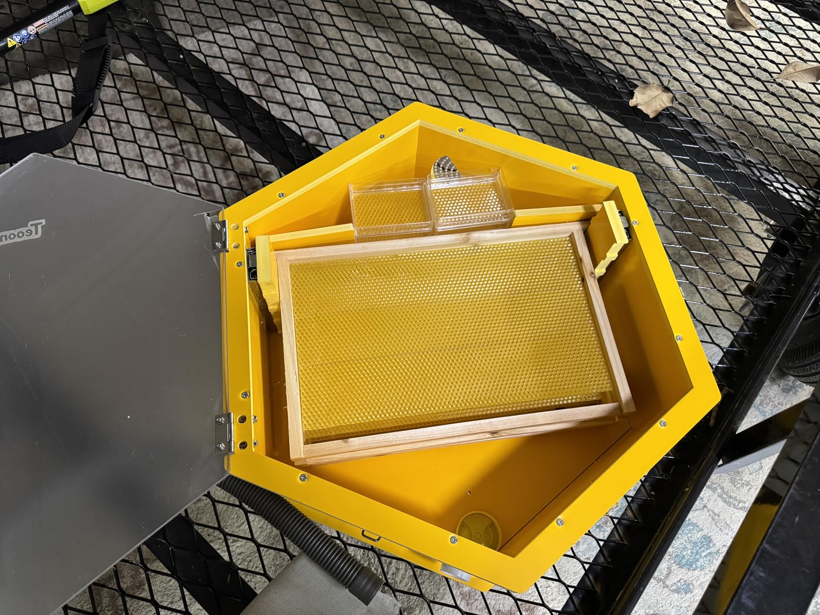 Observation Beehive Starter Kit with 3 Frames & 6 Honeycomb Trays, Wall-Mounted Hexagon Bee Hive with Acrylic Viewing Window, Medium Size for Indoor, Garden, or Educational Beekeeping customer photo 2