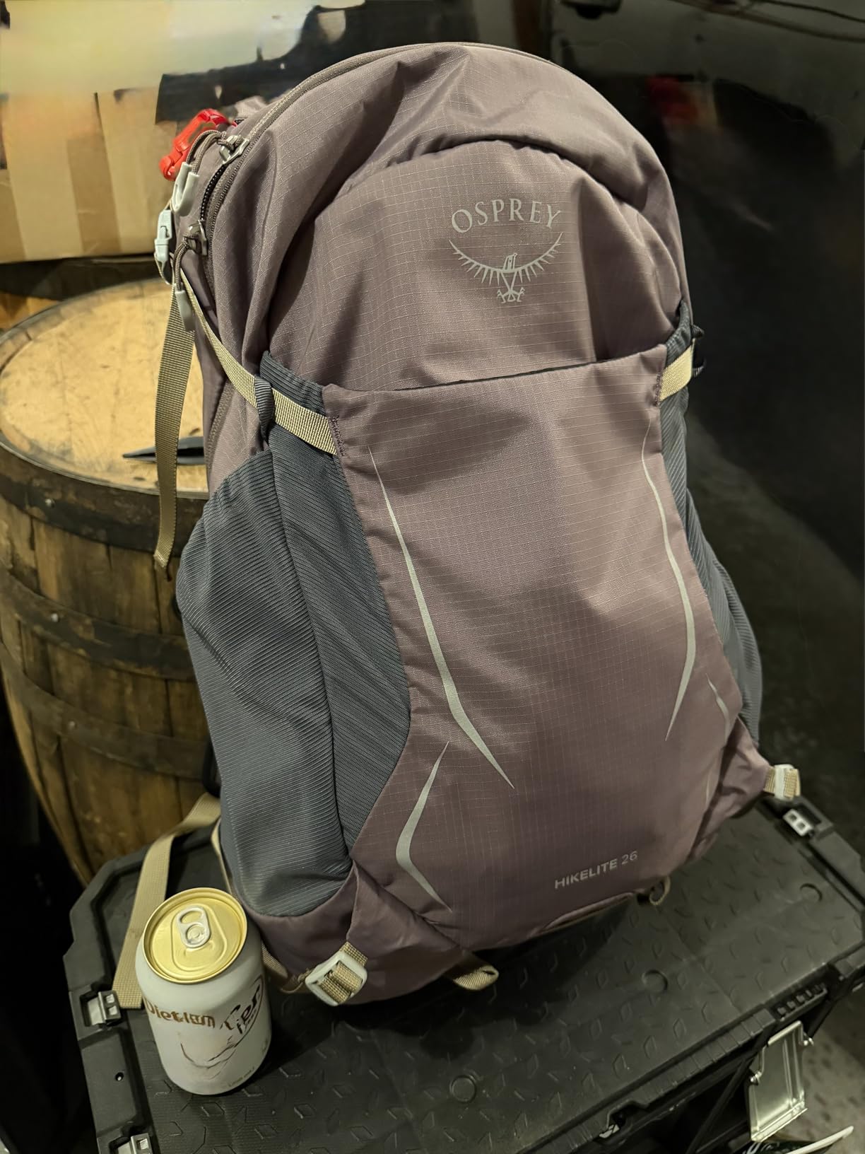 Osprey Hikelite 26L Durable Hiking Backpack - Travel Daypack with Rain Cover for Men and Women, Graphite Purple customer photo 1