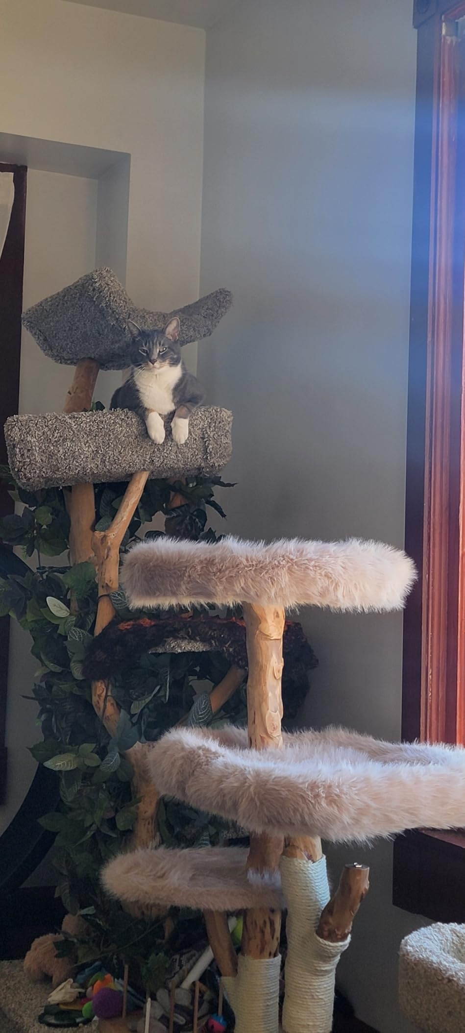 Sopapets Maine Coon Cat Tree for Large Cats, Solid Wood Cat Tower with Removable Cushions and Sisal Scratching Posts, Modern Boho Aesthetic Cat Furniture customer photo 2