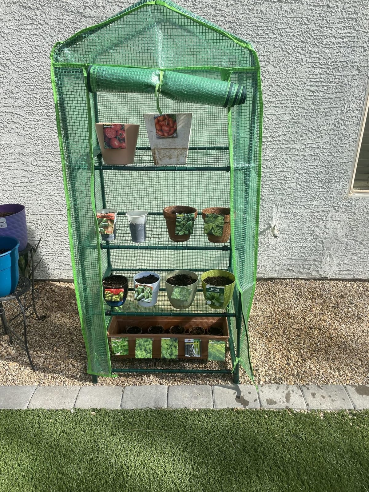4 Tier Mini Greenhouse - Portable Indoor Outdoor Green House with 24lbs Per Shelf, Durable PE Cover & Tool-Free Assembly for Garden Balcony Patio Backyard customer photo 1