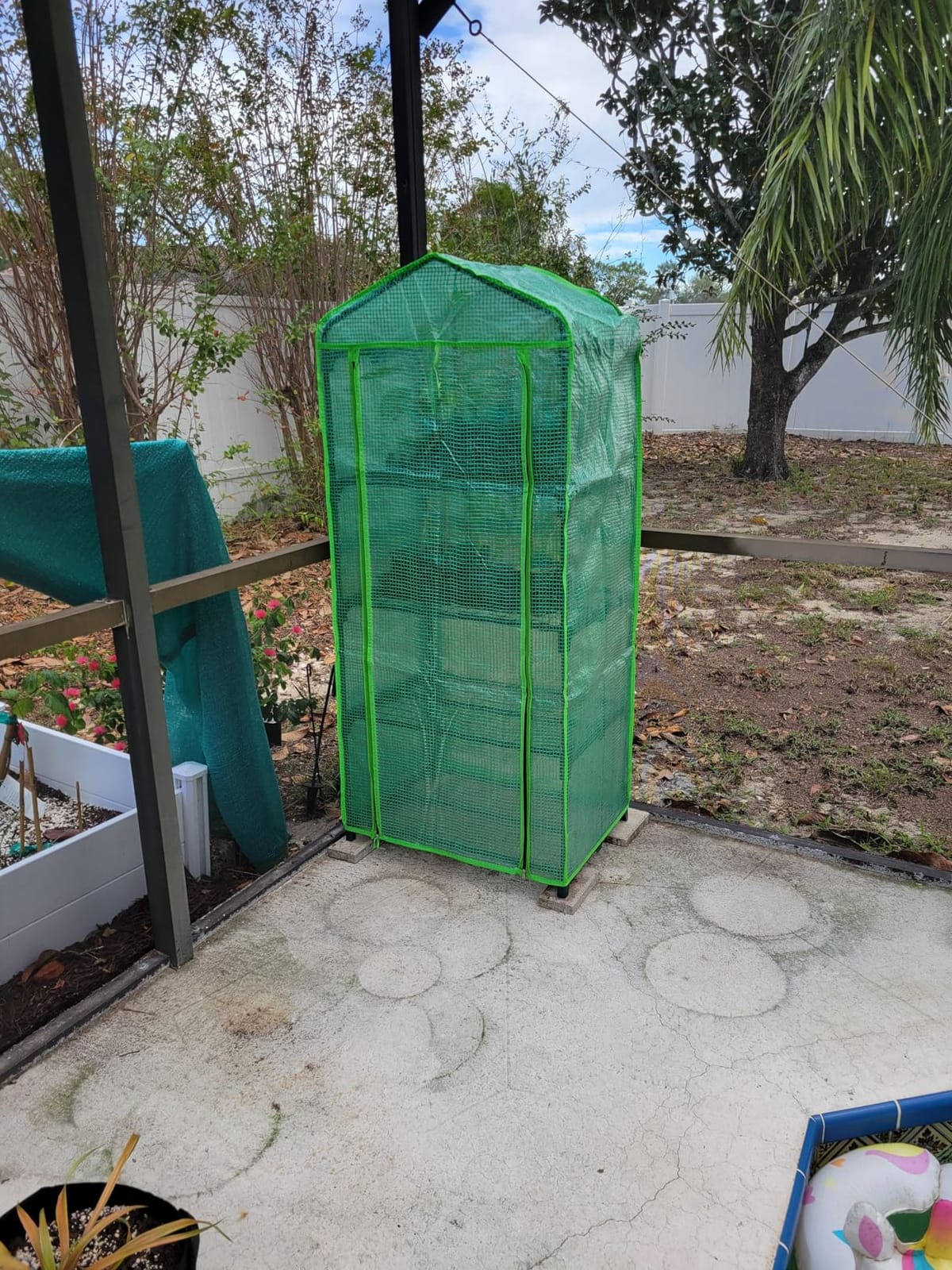 4 Tier Mini Greenhouse - Portable Indoor Outdoor Green House with 24lbs Per Shelf, Durable PE Cover & Tool-Free Assembly for Garden Balcony Patio Backyard customer photo 2