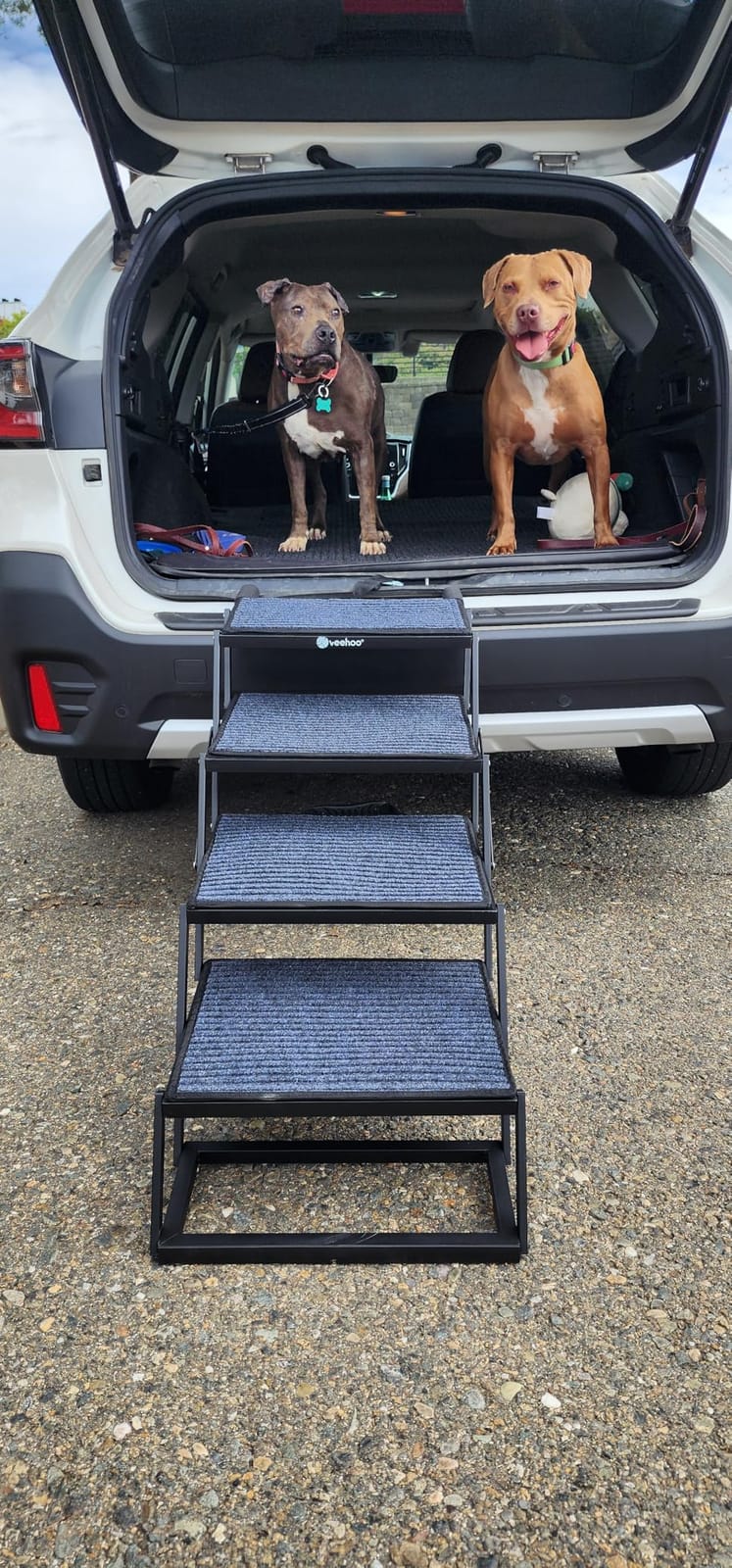 Veehoo Foldable Dog Steps for Car Truck SUV, Collapsible Large Dogs Stairs | 4 Steps Folding Dog Ramp for Cars Portable Pet Ramps Ladder Heavy Duty Non Slip for Trucks Vehicle 17