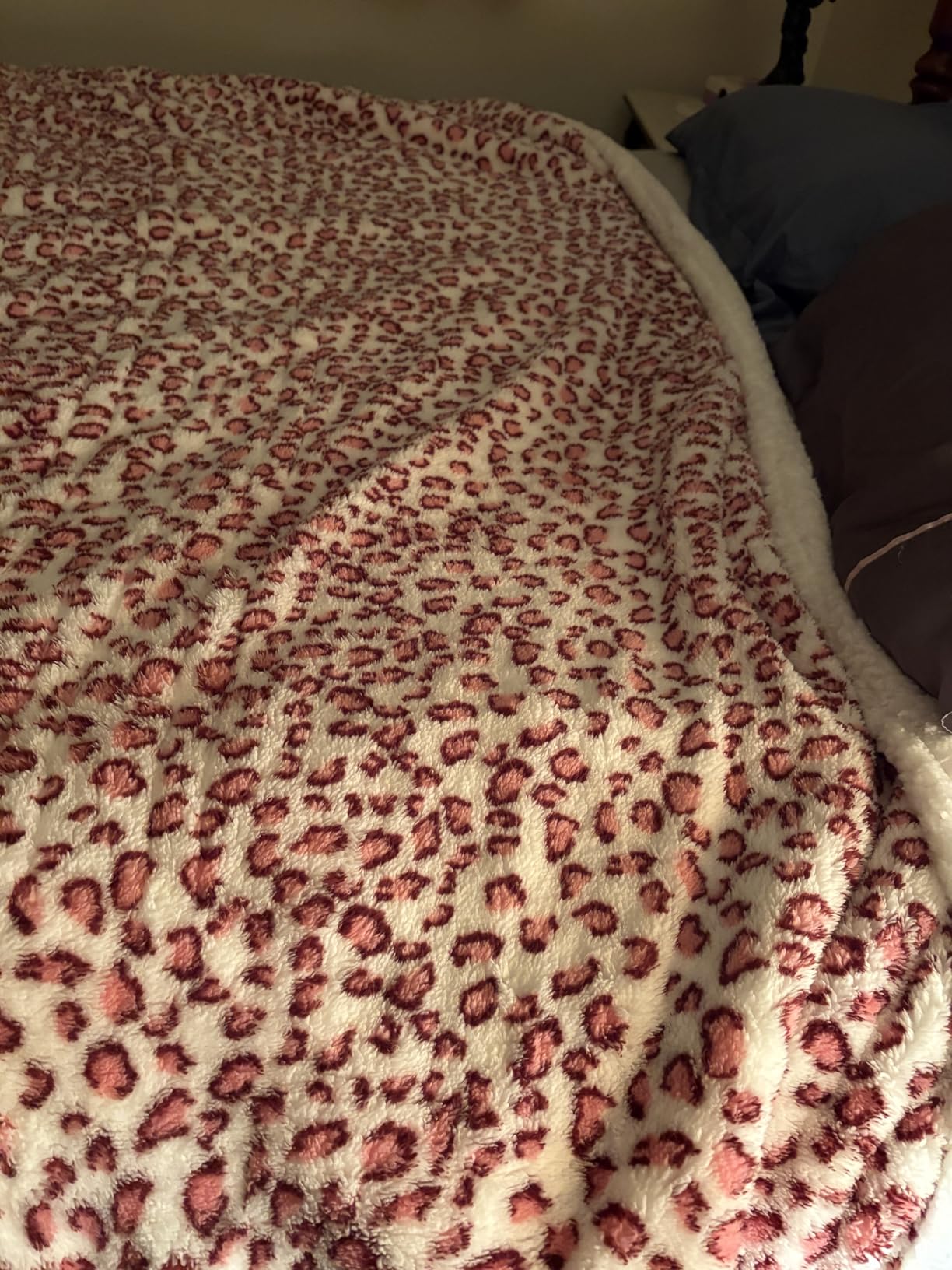 Soypipo Electric Heated Blanket 50