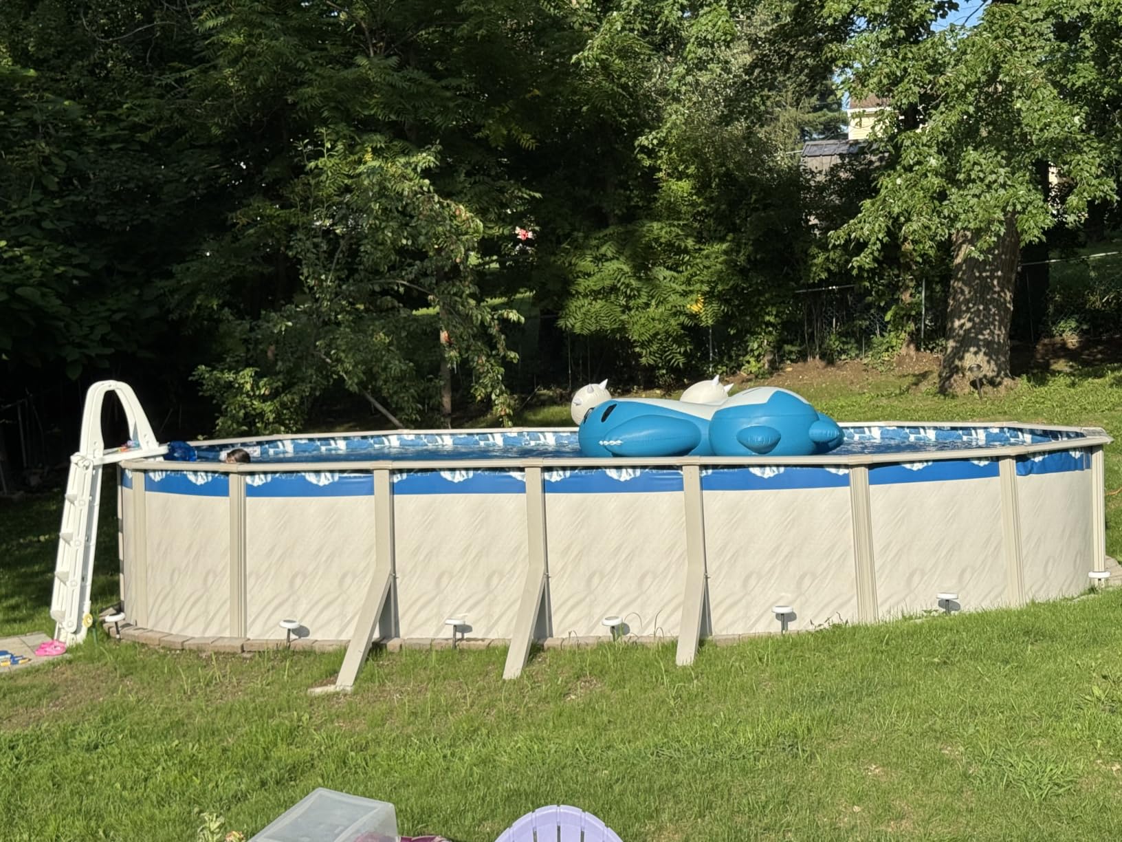 Lake Effect Pools 'Meadows Reprieve' 12 ft x 18 ft Oval Above Ground | Swimming Pool Bundle | 52 Inch Steel Sided Walls | Kit Includes: 25 Gauge Liner, A-Frame Ladder, Sand Filter/Pump, & Skimmer customer photo 2