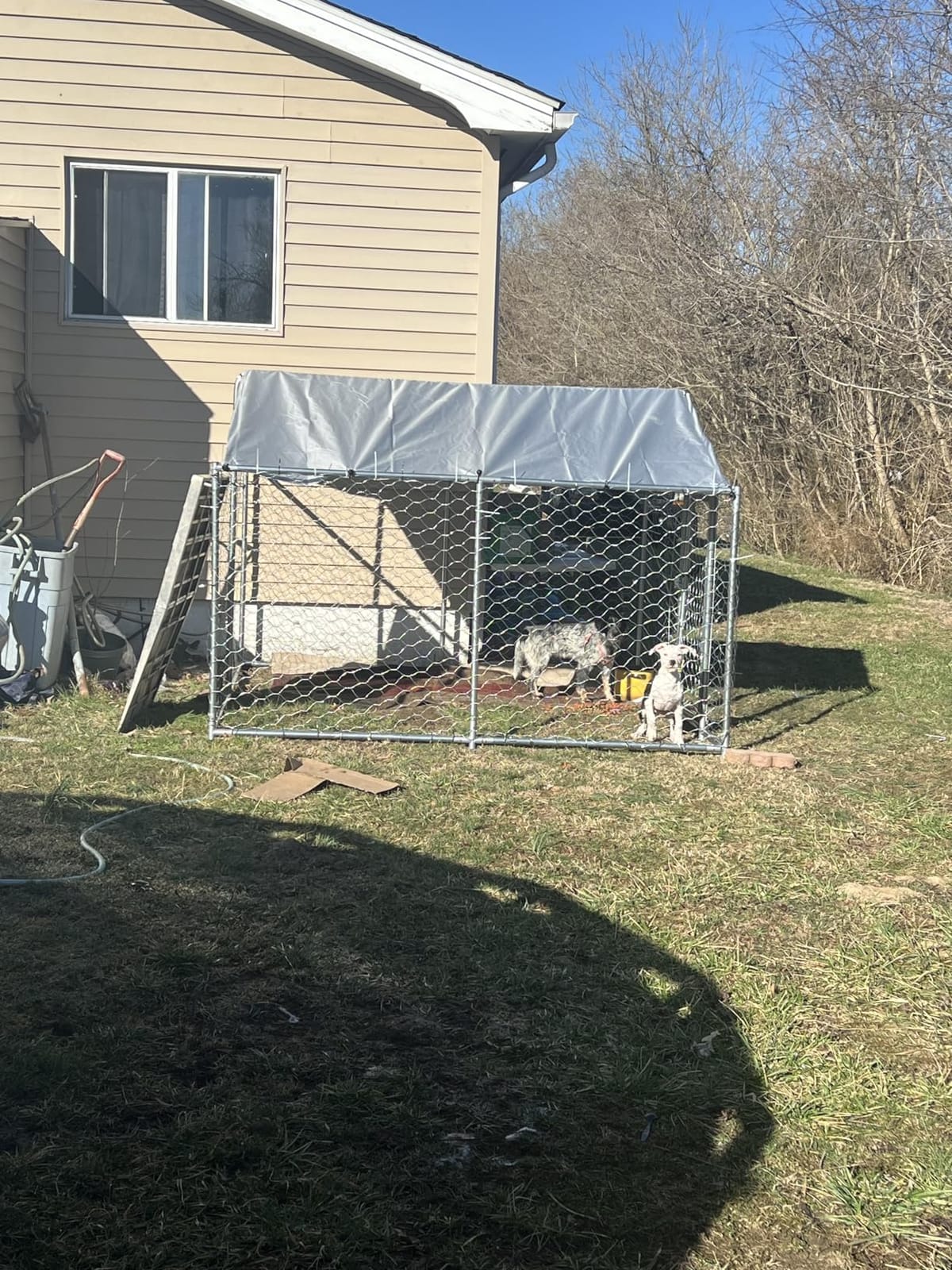 10x20 ft Outdoor Dog Kennel, Heavy Duty Dog Pens for Large Dogs | Heavy Duty & Rust Resistant & Waterproof Roof & Galvanized & Welded Wire & Durable & Dual Lock & w/ manual customer photo 1