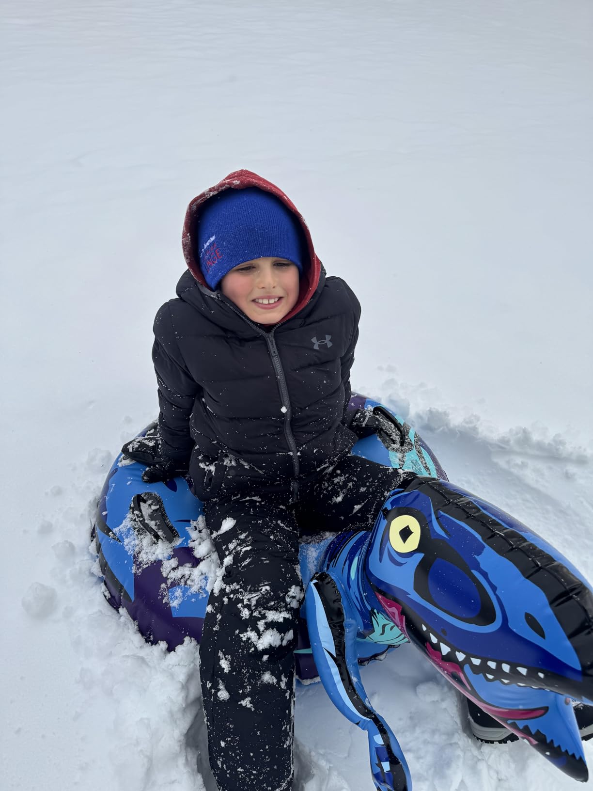 Dinosaur Snow Tube, Inflatable Snow Tube Snow Sled for Kids & Adults, Sledding Heavy Duty Reinforced Double Layers Bottom, Ideal Snow Toys Winter Outdoors Fun Boys Girls customer photo 1