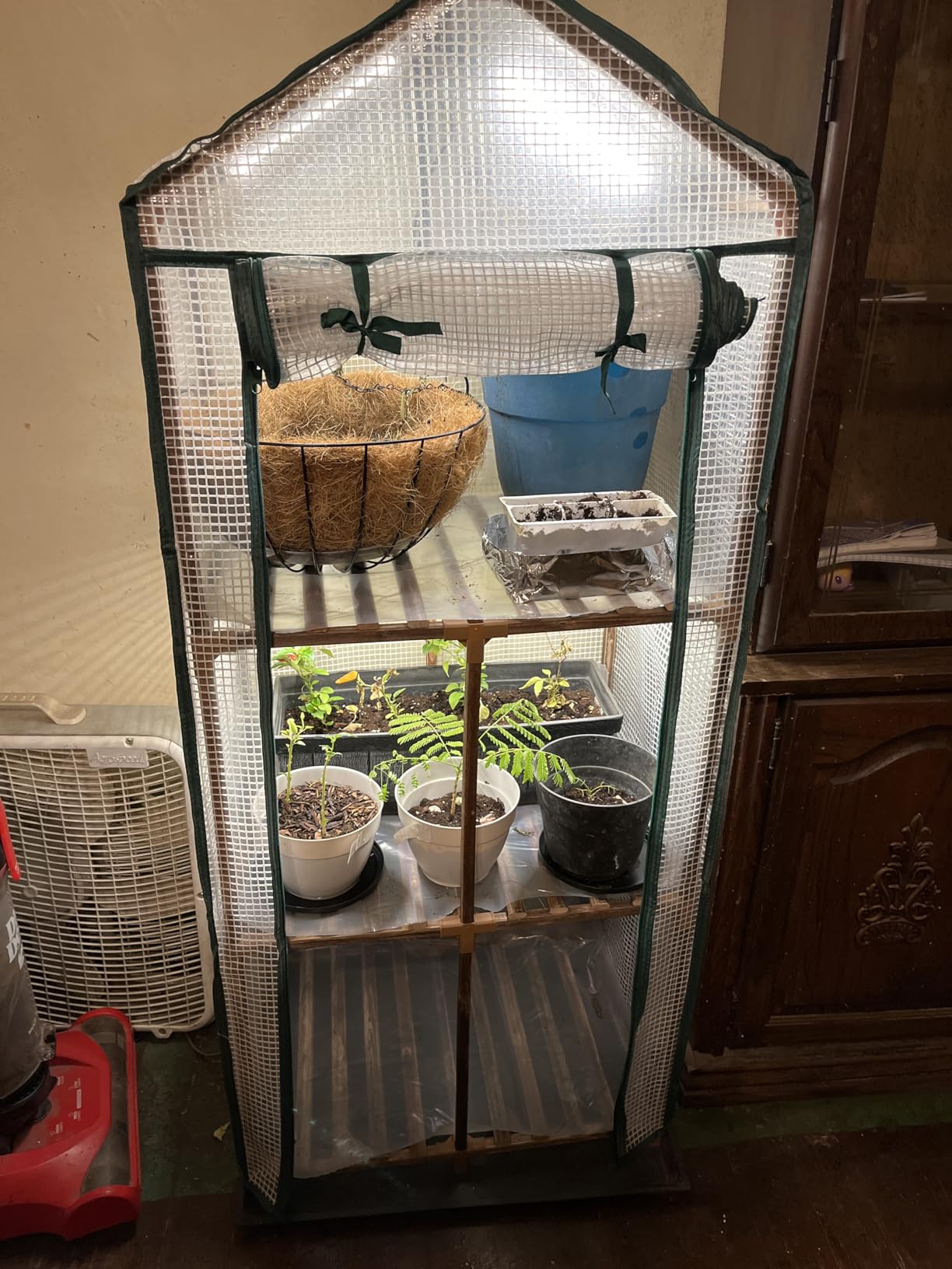 Bamworld Mini Greenhouse with Grow Light Plant Stand for Mutiple Pots Outdoor 3-Tier Portable Greenhouses with Durable PE Cover for Seedling Ideal Gardening Gifts for Women Men customer photo 2