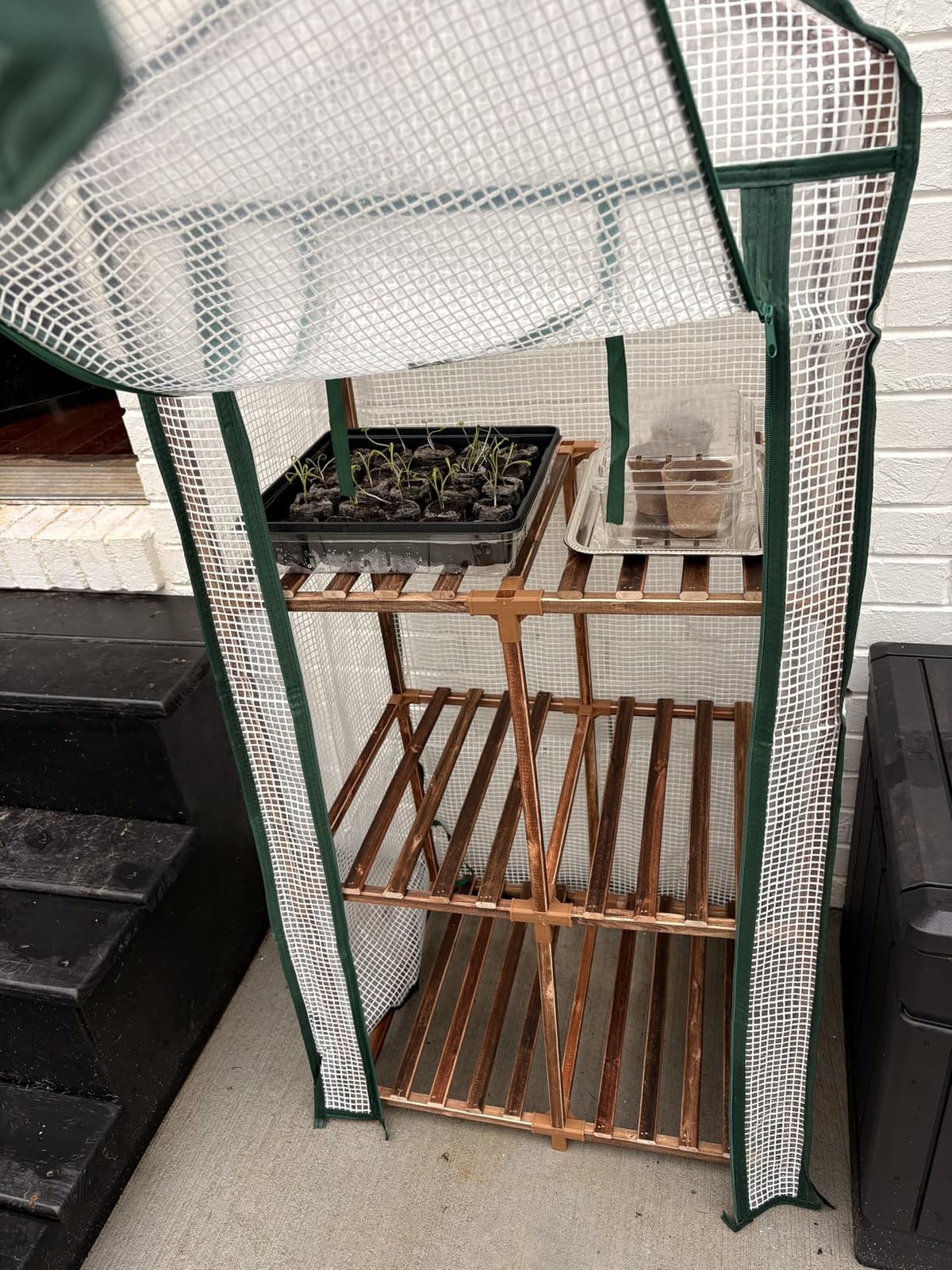 Bamworld Greenhouse for Outdoors Small Plant Green House 3-Tier Portable Plant Stand with Durable PE Cover for Seedling Ideal Gardening Gifts for Women Plants Lover customer photo 2