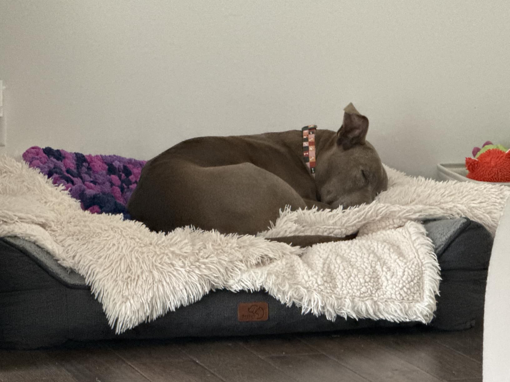 Bedsure SupportMax XL Pro Orthopedic Dog Beds Large Sized Dog - Extra Thick Supportive Dogs Couch with Waterproof Washable Cover, Extra Large Comfort Pet Sofa with Sherpa & Nonskid Bottom, Grey, 45