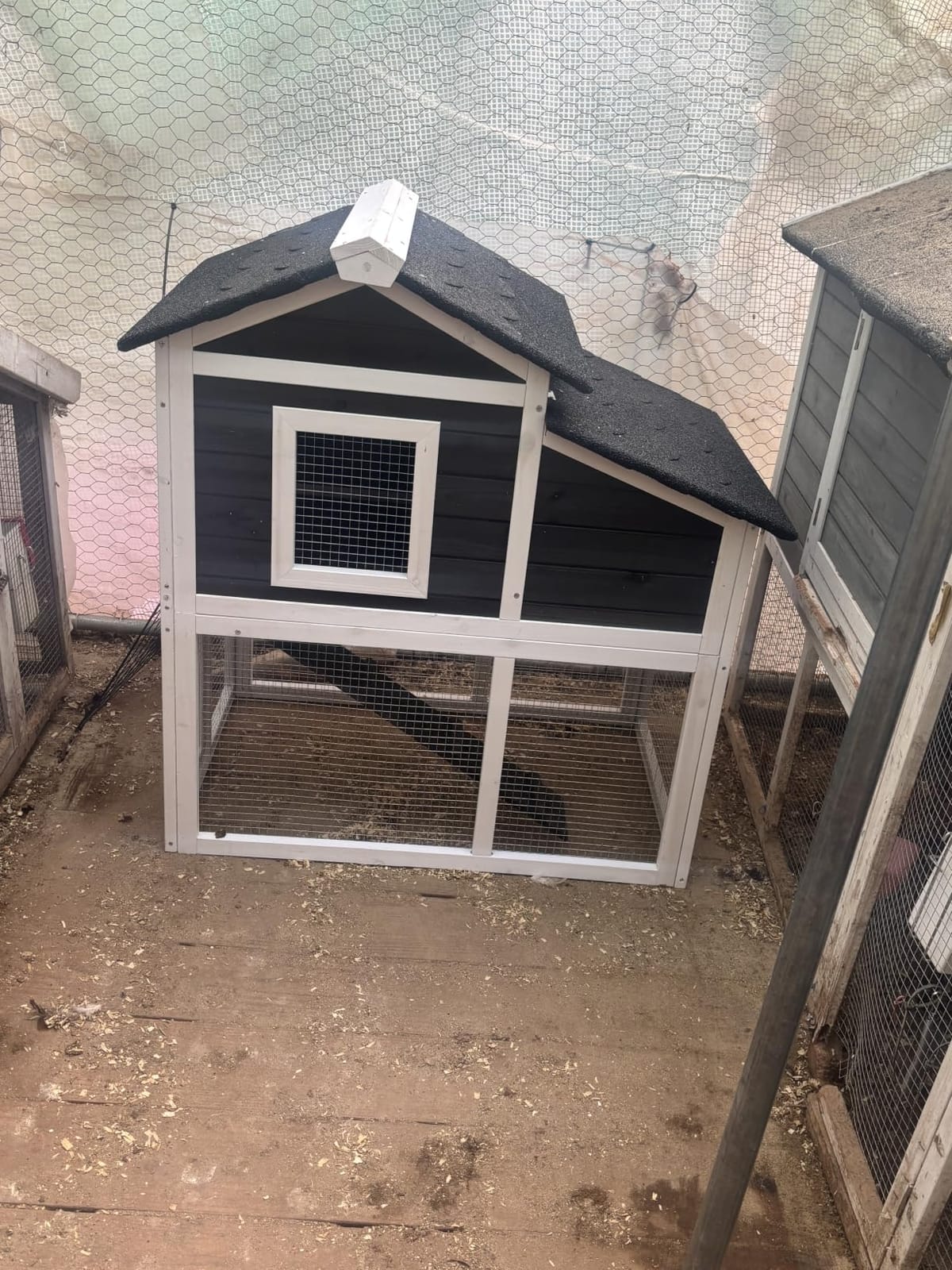 Small Outdoor Chicken Run Coop for Hens, Ducks, Quails & Chicks - 2-Tier Rabbit Hutch, All Weather Used Bunny Cage, Wooden Pet House, Anti-Slip Ramp, For Farm Backyard customer photo 1