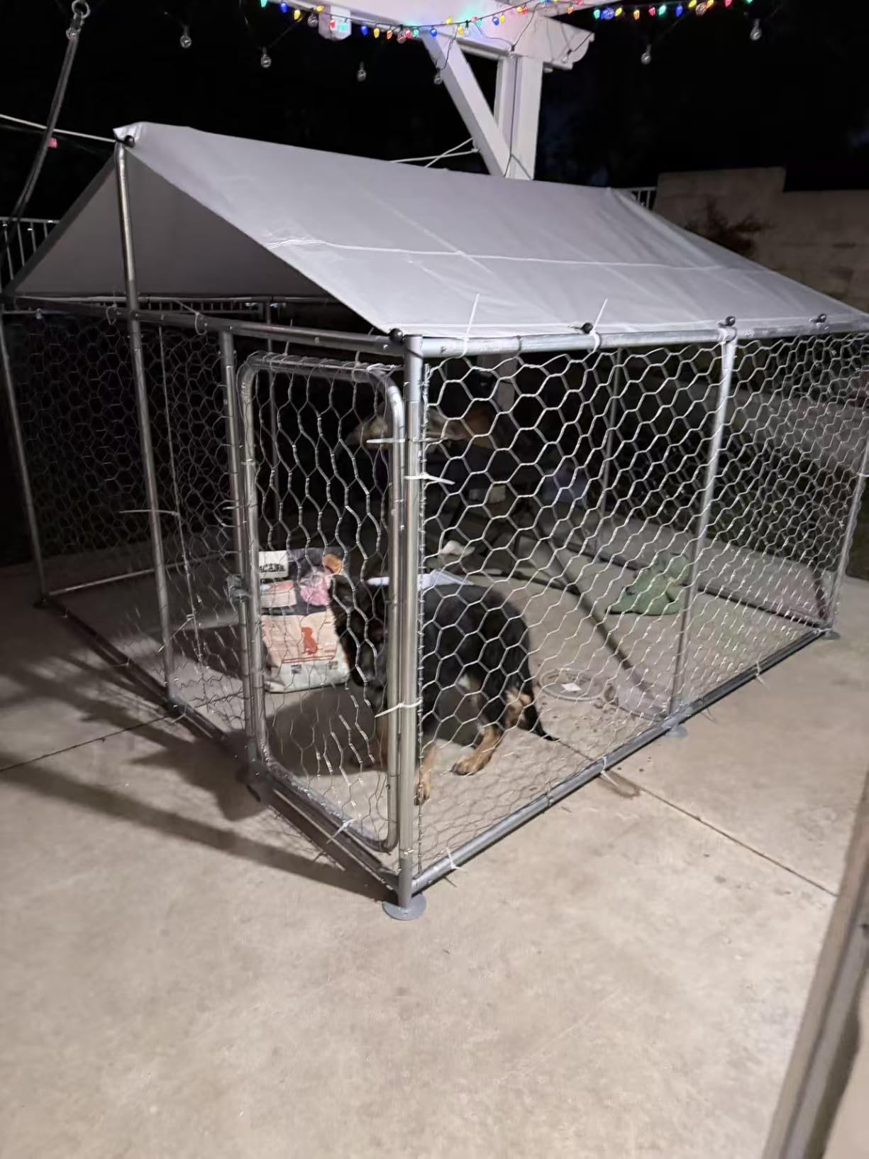 20x10 FT Extra Large Outdoor Dog Kennel, Heavy Duty Dog Enclosure, Galvanized Wire Mesh, Waterproof Roof Cover, Secure Lock Door, Spacious Dog Run, Outdoor Shelter for Large Dogs customer photo 1