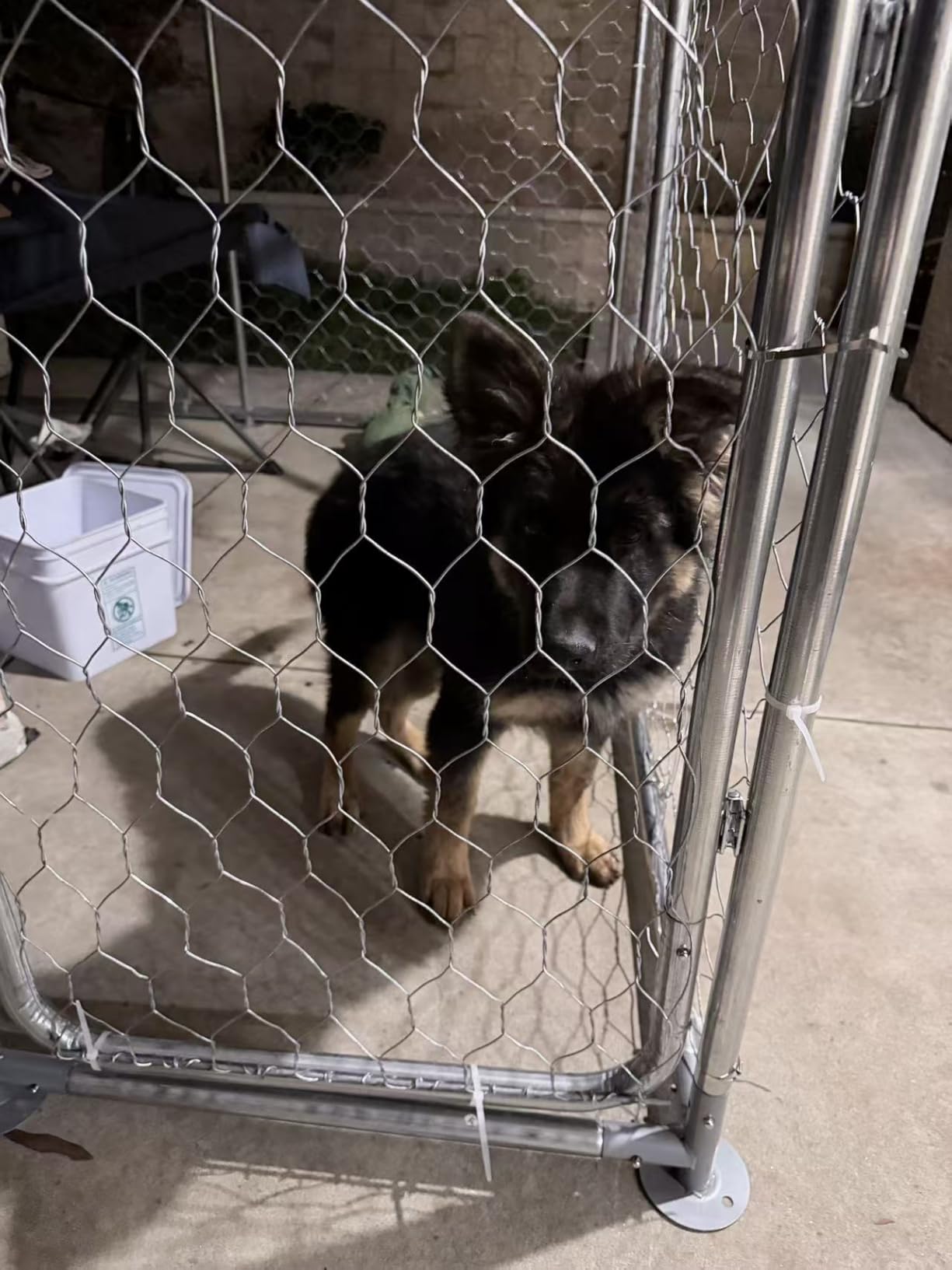 20x10 FT Extra Large Outdoor Dog Kennel, Heavy Duty Dog Enclosure, Galvanized Wire Mesh, Waterproof Roof Cover, Secure Lock Door, Spacious Dog Run, Outdoor Shelter for Large Dogs customer photo 2