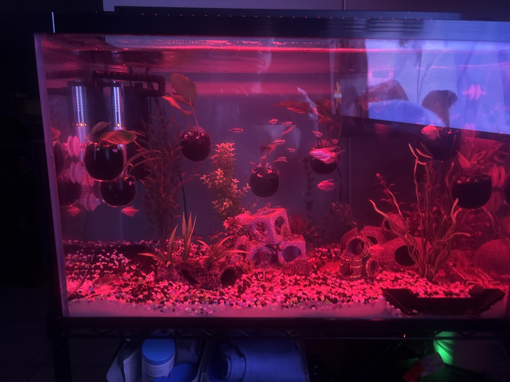 Ultra Clear Glass Aquarium Thickened Large Fish Tank -Suitable for High-end Fish Enthusiasts (29 Gallon, Tank) customer photo 1