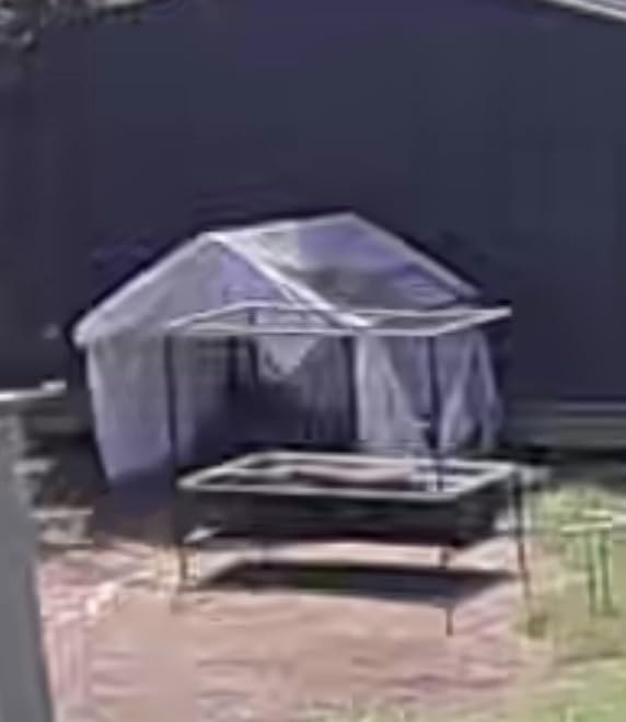 Goat Shelter for Outside, Portable for 2 Goats, 49 x 49 x 43 in Metal Frame | Three-Sided Windbreak Panels And Ground Stakes, For Backyards, Pastures And Small Livestock Enclosures customer photo 1