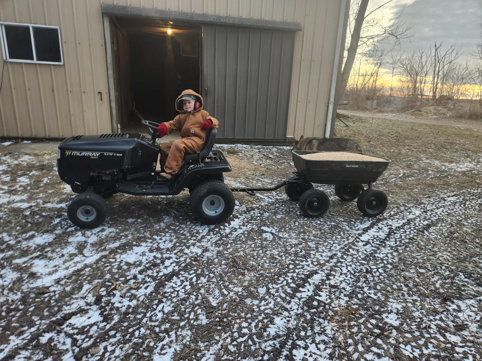 BILT HARD 7 Cu Ft Poly Garden Dump Cart 1200 lbs with No Flat Tires, Quick Release, 2-in-1 Convertible Handle, Dump Wagon Heavy Duty for Yard, Outdoor customer photo 2