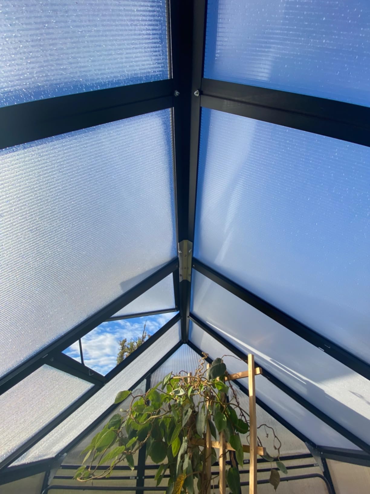 CDCASA 12x10x10 FT Polycarbonate Greenhouse for Outdoors w/2 Windows | Easy Assembly, Large Thicker Aluminum Heavy Duty Walk-in Greenhouses Kit, Green House for Outside, Sunroom, Backyard, Garden customer photo 2