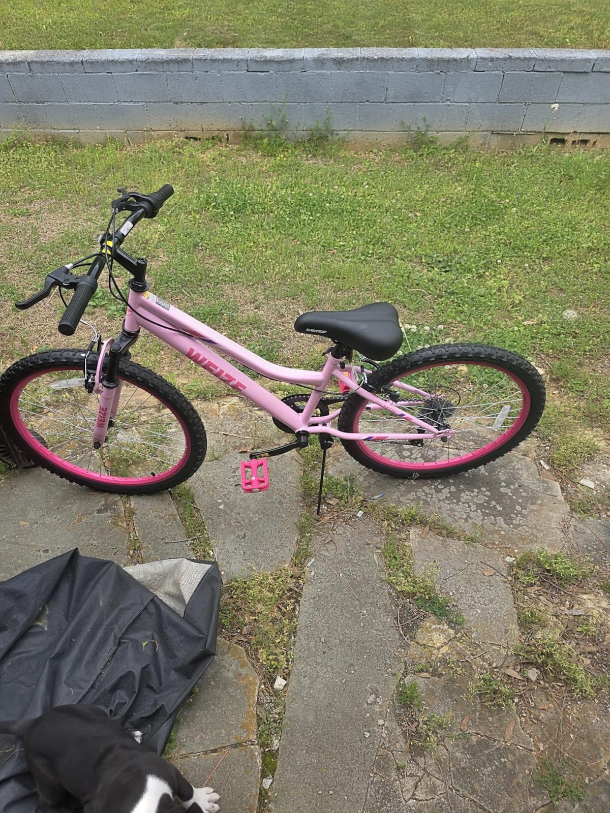 WEIZE 20 24 Inch Kids Mountain Bike,Kids Bike for Girls Age 6-14 Year Old,6 Speed Kid Bicycle with Front Suspension Fork,Adjustable Seat Height,High-Carbon Steel Frame,Ideal for Girl Adventurers customer photo 1