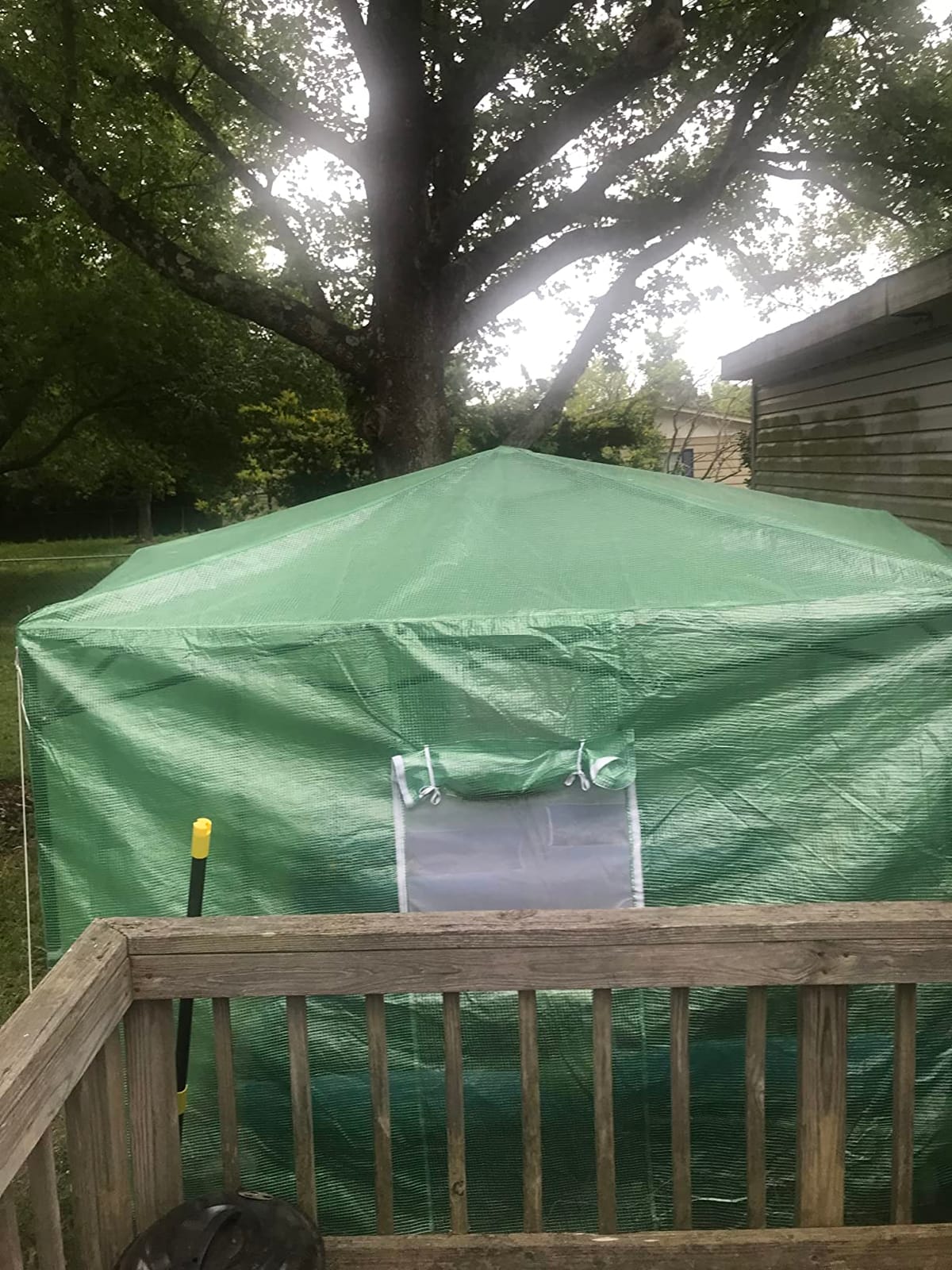 CROWN SHADES 12X8 Pop Up Outdoor Walk-in Portable Greenhouse,Green | Patented CenterLock One Push Instant Greenhouses, Heavy Duty with Durable PE Cover, 3 Adjustable Heights for Backyard Garden customer photo 2