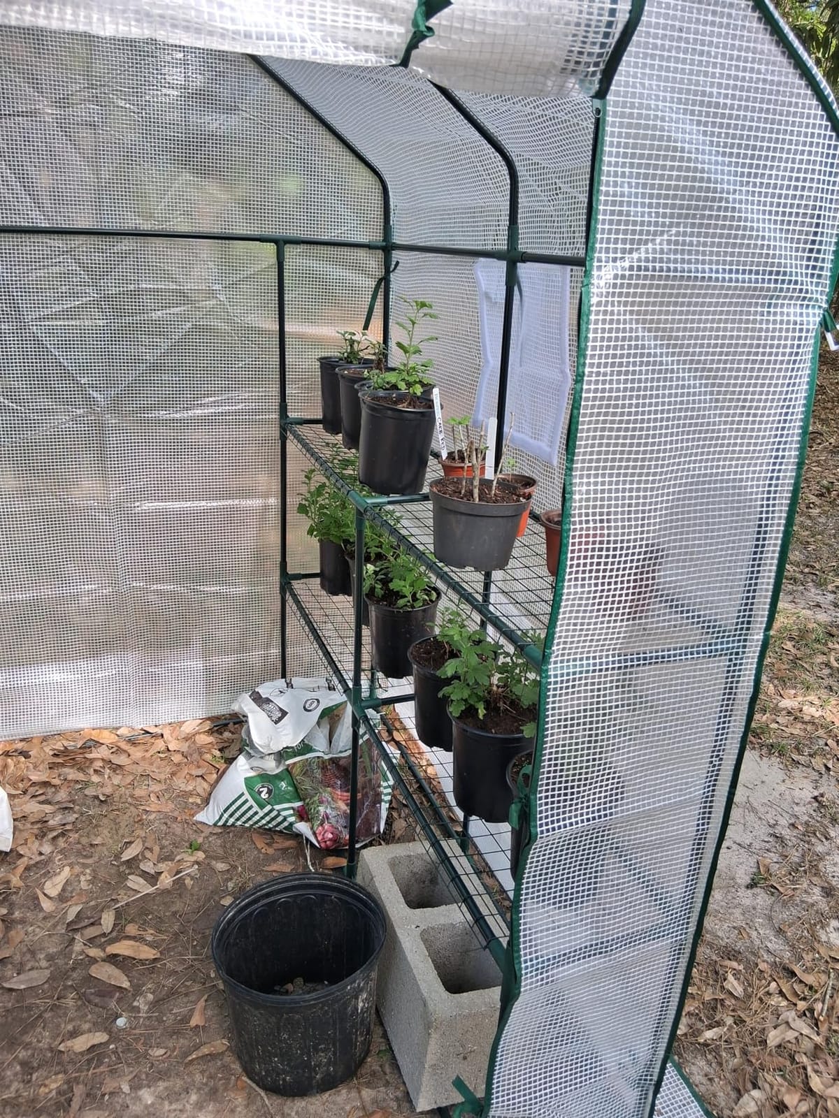 SPECILITE 79×40×83Inch Walk-in Lean to Greenhouse for Outdoors, White | Thicken PE Cover, Steel Frame, Zipper Roller Door, Screen Side Windows, Heavy Duty Small Plant House customer photo 1