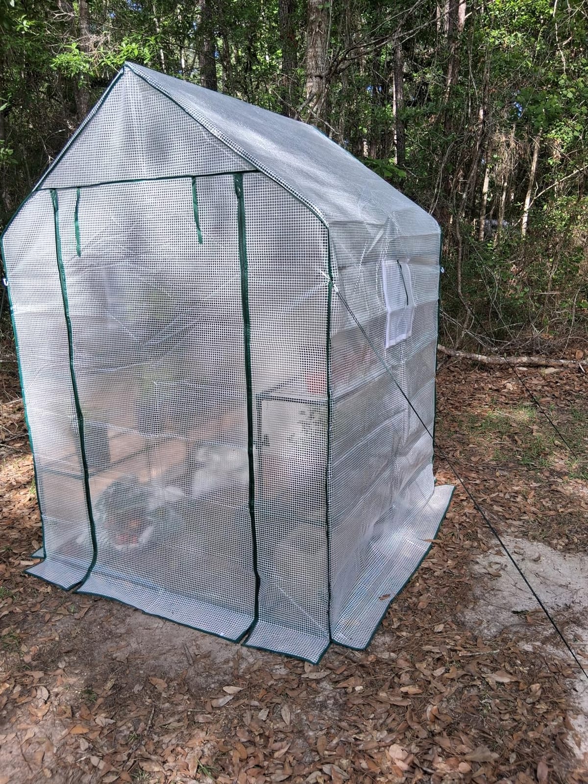 SPECILITE 79×40×83Inch Walk-in Lean to Greenhouse for Outdoors, White | Thicken PE Cover, Steel Frame, Zipper Roller Door, Screen Side Windows, Heavy Duty Small Plant House customer photo 2