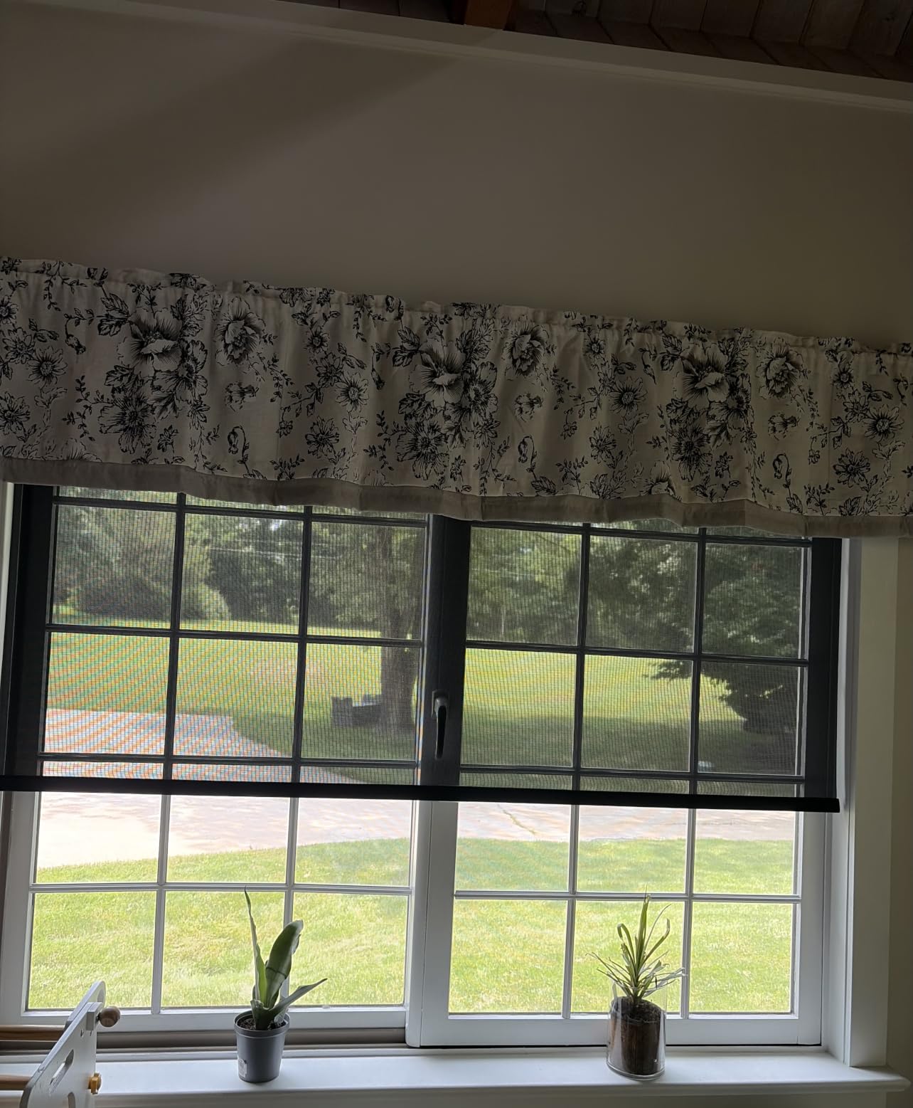Persilux Custom Size Free-Stop Cordless Roller Shades for Windows Light Filtering Shades, 5% Openness Solar Screen Semi Sheer Roller Blinds UV Protection for Office and Home. Easy to Install. Black customer photo 1