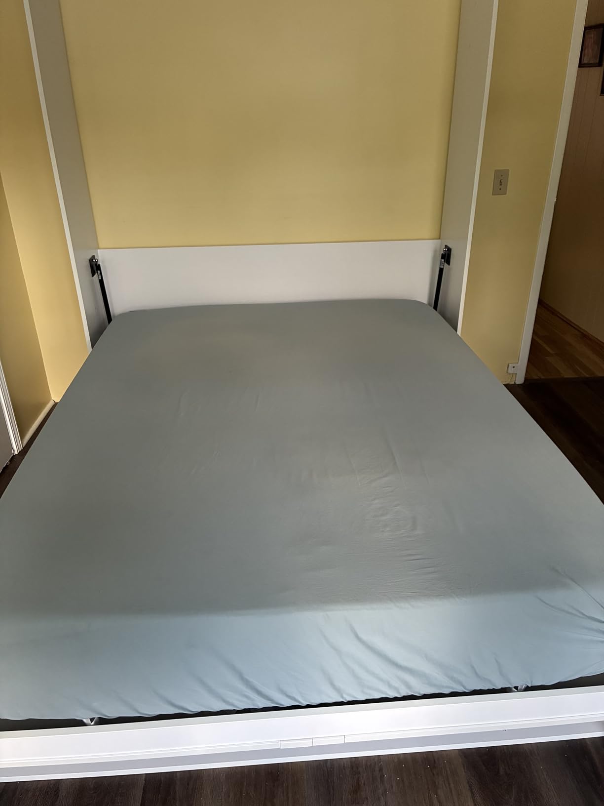 ROOMTEC Queen Size Murphy Bed with Smooth Pneumatic Lift, Space-Saving Wall Bed with Modern Cabinet Design, Easy Installation, Ideal for Guest Rooms, Home Offices, Fits 60