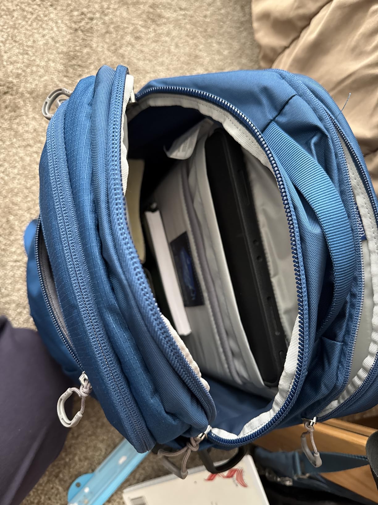 Osprey Proxima 30L Campus Laptop Backpack, Gray OS customer photo 1
