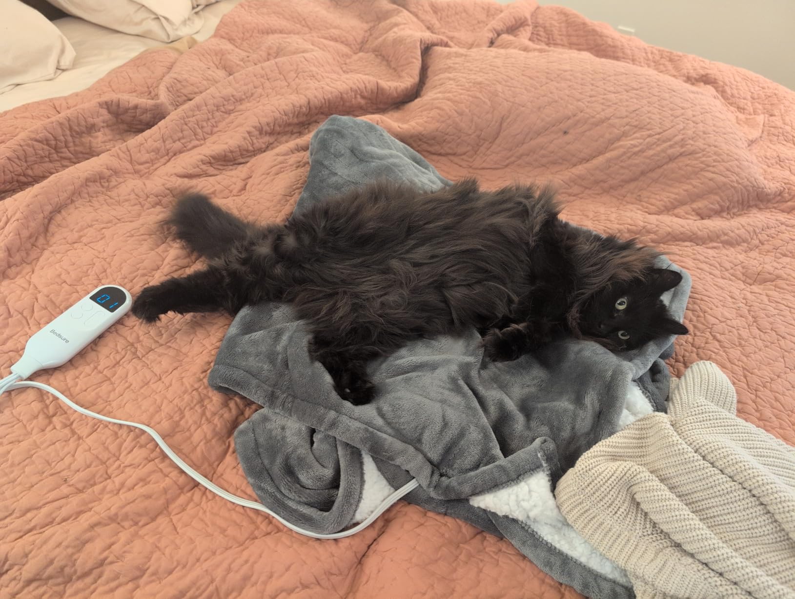 Bedsure Electric Blanket Queen Size - Dual Control Heated Blanket Queen, Fast Heating with 6 Time Settings (Up to 10H) & 6 Heat Settings, Warm Gift for Grandma (84x90 inches, Grey) customer photo 1