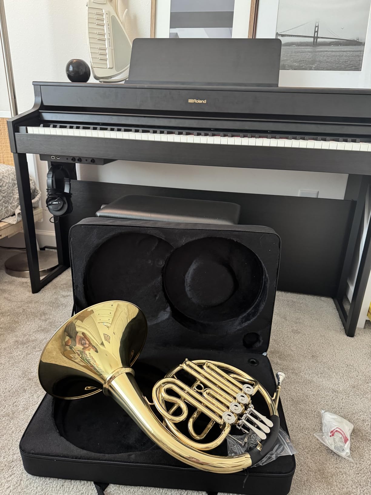 Double French Horn F/Bb 4 Keys, Gold Craft Lacquer Brass Professional French Horn, Complete Accessory Kit for Concert Band and Solo Performance customer photo 1