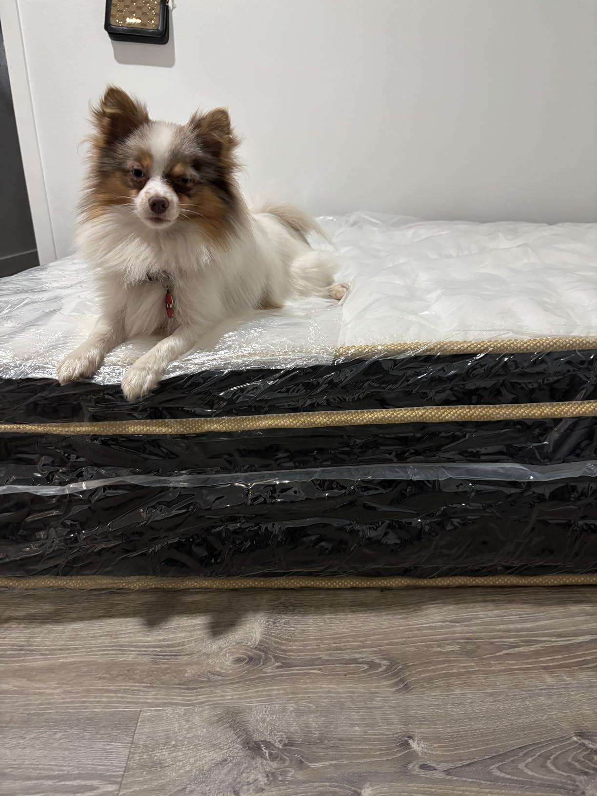 LETMOON Luxury King Size Mattress 12 Inch, Hotel-Level Hybrid Mattress King Size Bed in a Box, Gel Memory Foam & 7-Zone Pocket Springs, Back & Hip Pain Relief, Fiberglass-Free, 365-Trials, CertiPUR-US customer photo 2