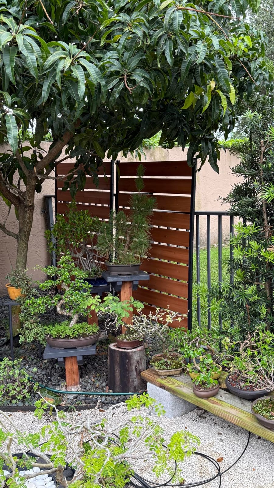 Modern Shade 6x4 ft Louvered Wood Privacy Fence Panel with Louverd Slats | Adjustable Screen with FSC Natural Cedar, Freestanding or Mounted Outdoor Privacy Fence for Deck Privacy Screen, 1 Panel customer photo 1