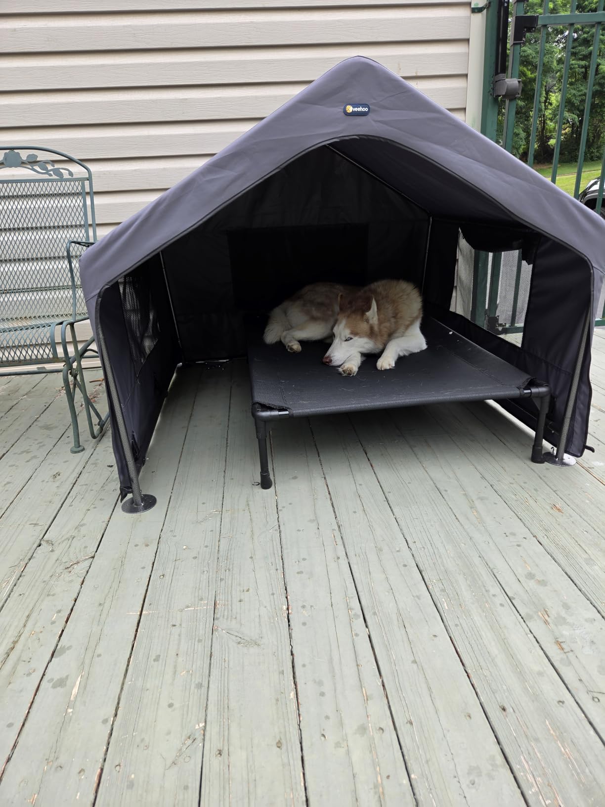 Veehoo Extra Large Dog House Outdoor Includes Elevated Dog Bed-Weatherproof | Waterproof Outside Dog Tent 4.1' x 4.1' x 3.3', Dog Shade Shelter and Raised Bed Combo for Pets or Stray Animals, Grey customer photo 1