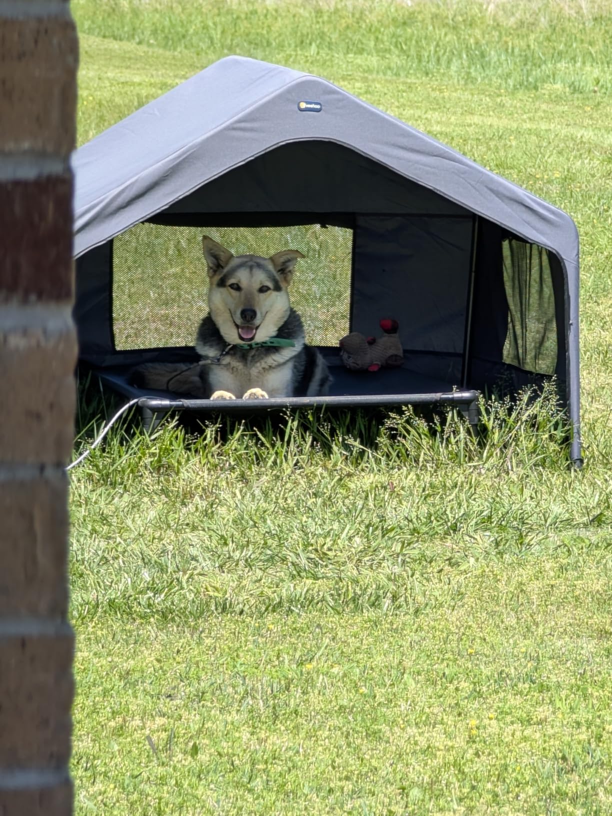 Veehoo Extra Large Dog House Outdoor Includes Elevated Dog Bed-Weatherproof | Waterproof Outside Dog Tent 4.1' x 4.1' x 3.3', Dog Shade Shelter and Raised Bed Combo for Pets or Stray Animals, Grey customer photo 2