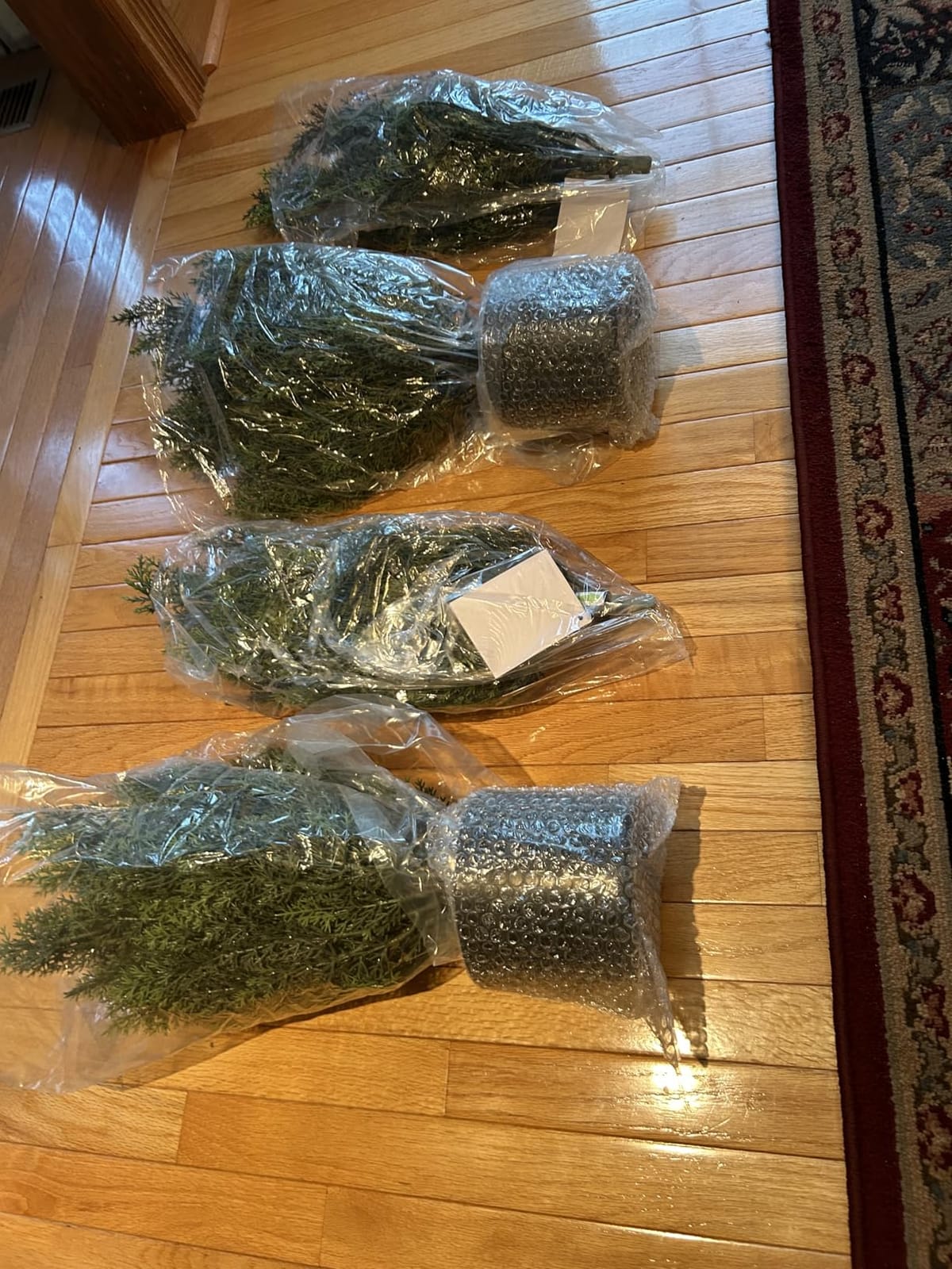 Vitalismo Artificial Cedar Tree for Outdoor: 98% Realistic Up Close | 100% PE Leaves - Lifelike Foliage Looks Natural from 3 Feet Away - Durable Build Helps Maintain Its Shape Over Time (1, 5ft) customer photo 1