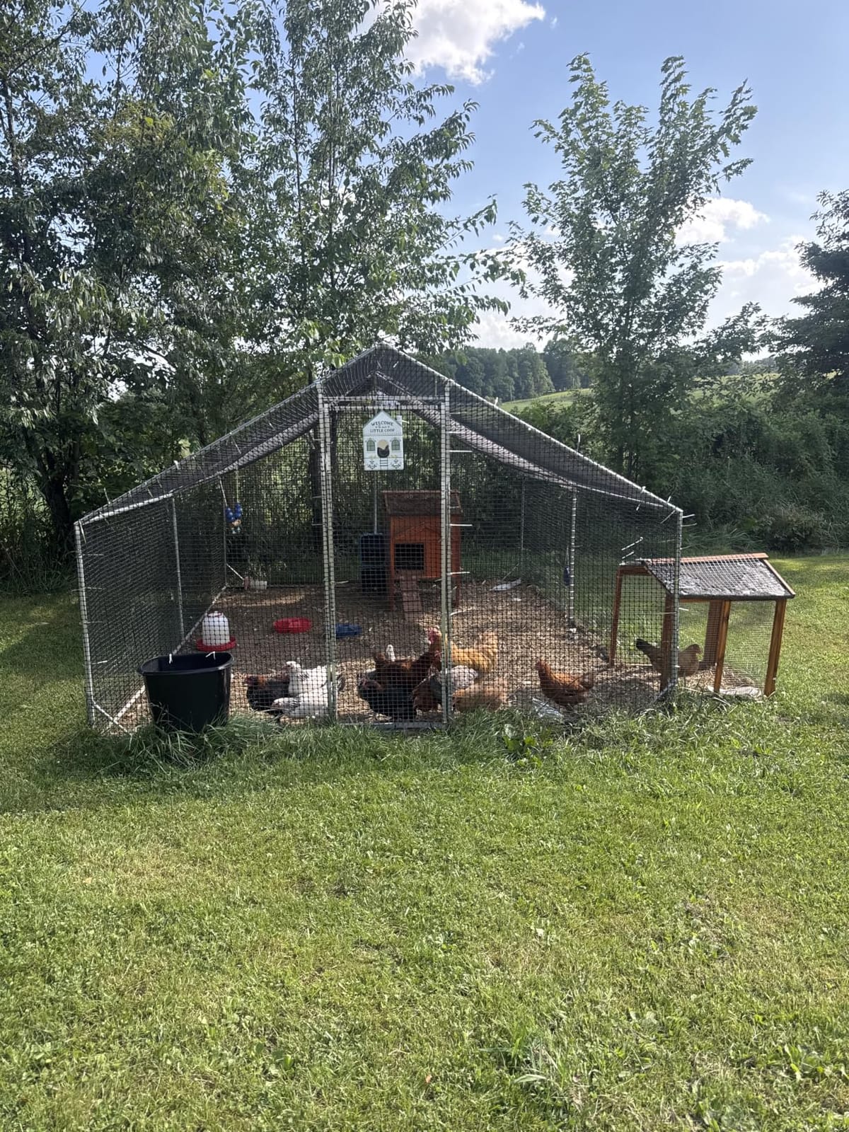 CAMMOO Walk in Chicken Coop, 19.7x9.8x6.6ft Chicken Run for Yard with Cover | Upgrade Double Lock & Mesh, Stainless Steel Ties, Easy Assembly, Chicken Pen for Ducks, Rabbits customer photo 2