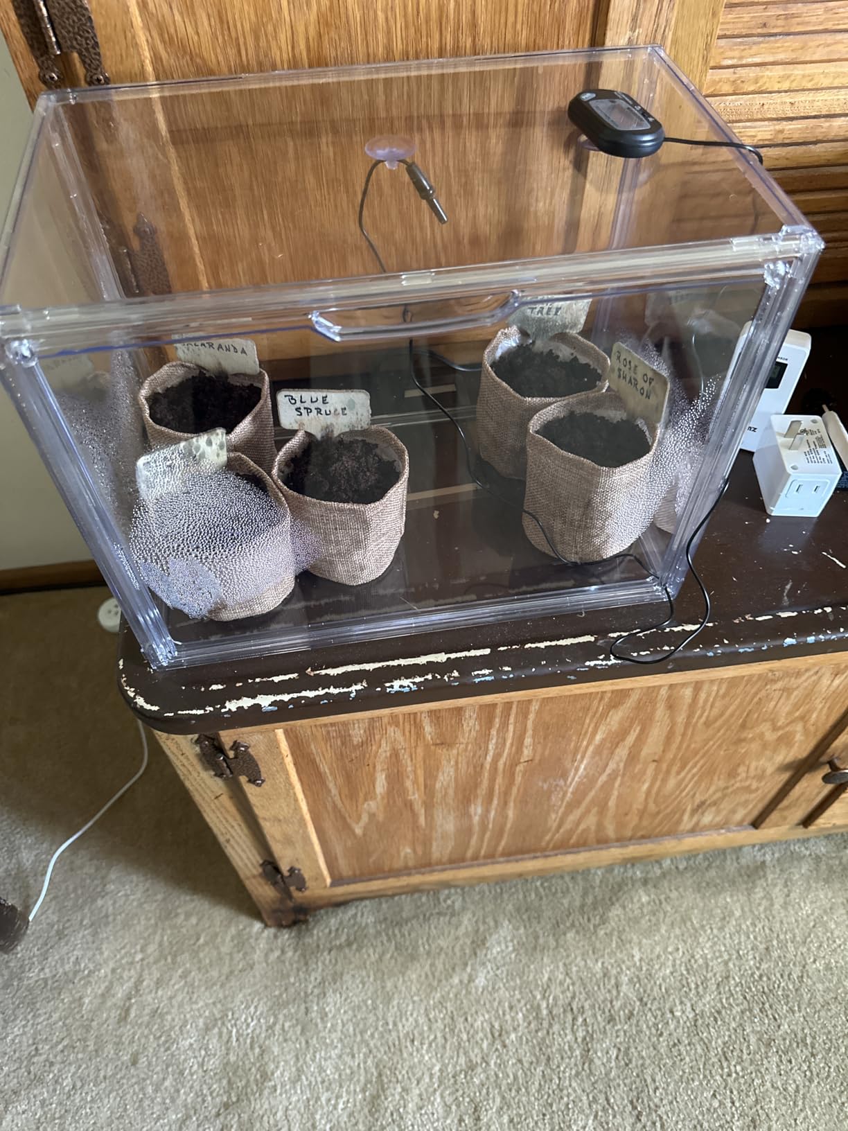 Mini Greenhouse for Indoor, Green House with Magnetic, 14