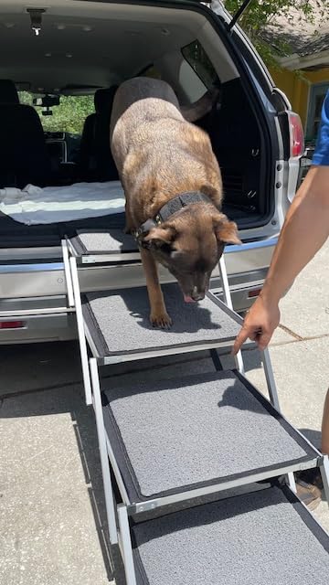 Dog Stairs for Large Dogs, 20'' Extra Wide Foldable Dog Ramp for Car, SUV & Truck, Non-Slip DogSteps for High Beds, 4-Step Aluminum Frame, Supports up to 250 lbs customer photo 2