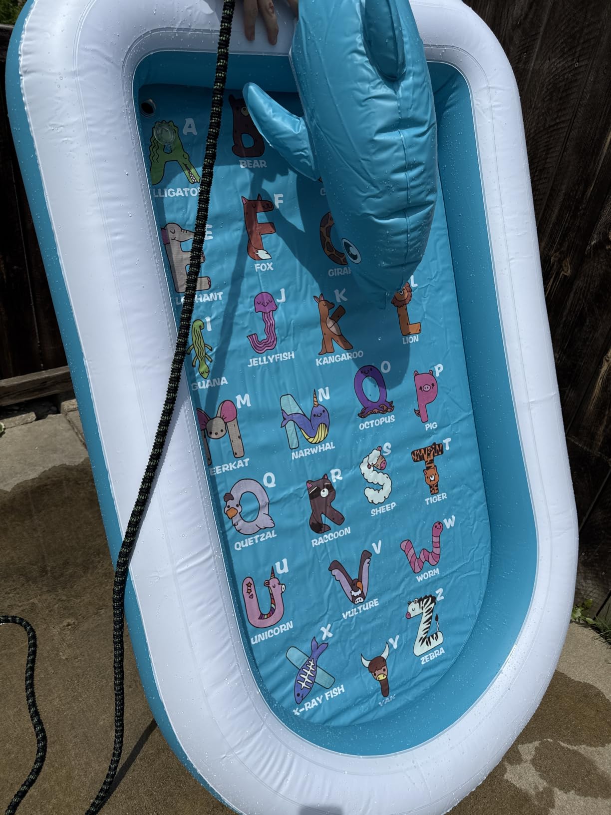 Splash Pads for Toddlers 1-3, Dolphin Toy Sprinkler for Kids, Outdoor Play Mat for Babies, 68