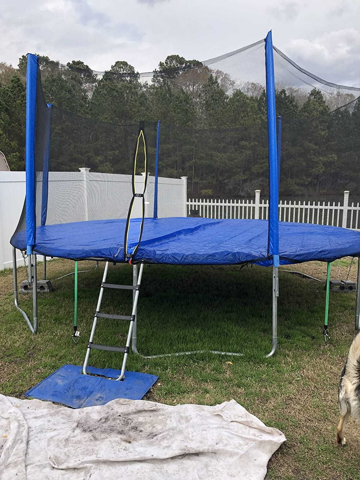 ORCC 1200LBS Weight Capacity Kids Trampoline 16 15 14 12 10 8FT Outdoor Yard Trampolines for Kids Adults, Heavy-Duty Galvanized Steel Frame Recreational Trampoline customer photo 1