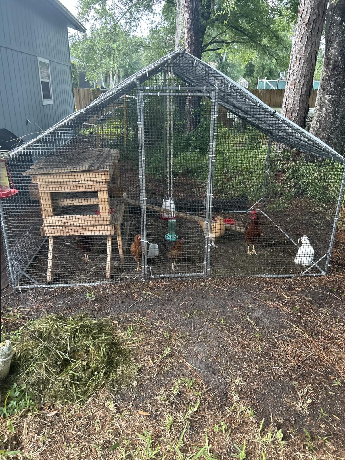 Large Walk-in Chicken Coop with Chicken Run, Galvanized Poultry Enclosure with Waterproof Anti-UV Cover and Security Lock, Ideal for Rabbit, Duck, Backyard and Farm Yard, 13.1'x 9.8'x 6.6' customer photo 2