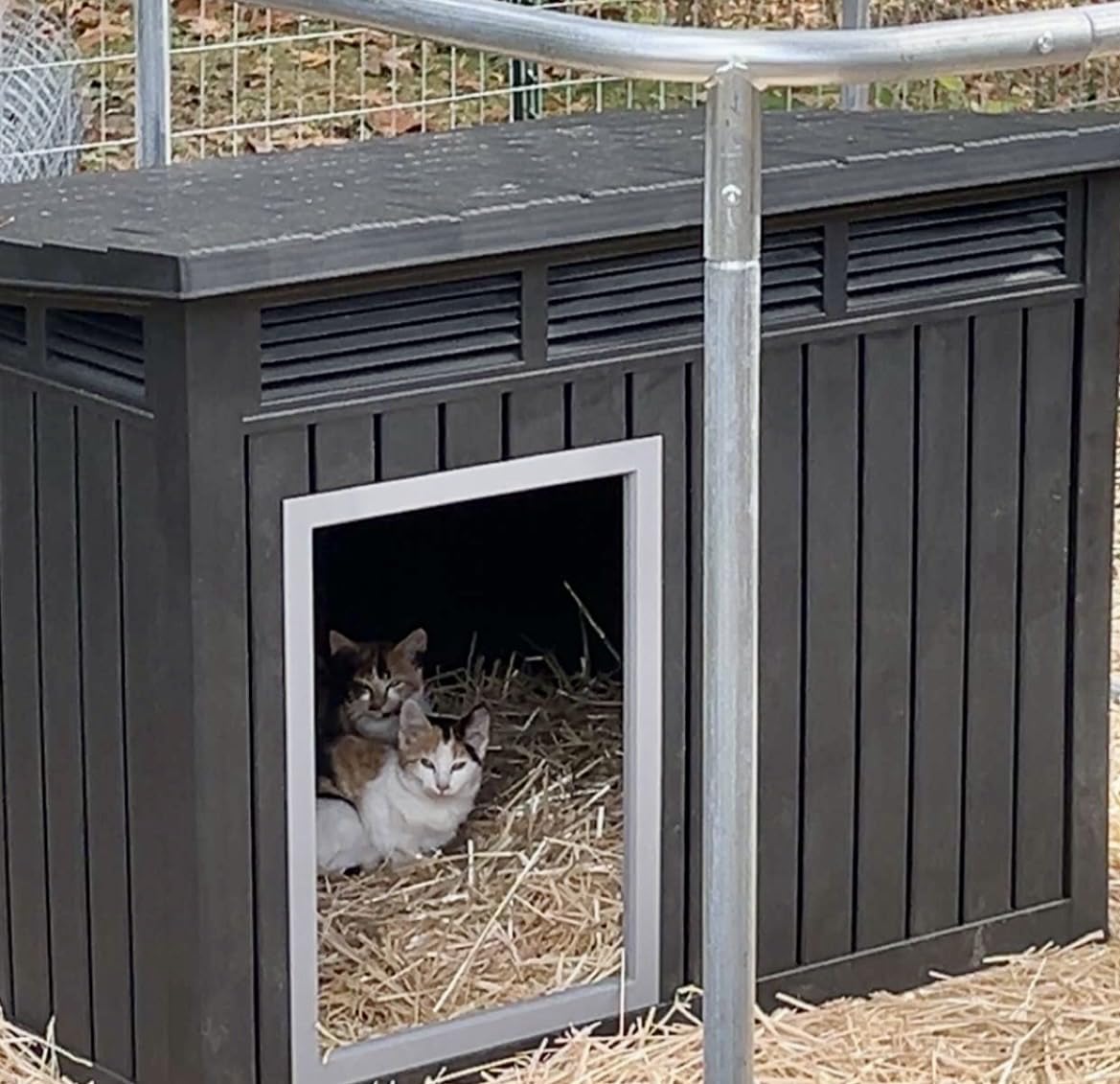 DRATO Goat House, Weather Resistant Resin Dog Houses with Sloped Roof & Louvered Ventilation, Outdoor Small Animal Shelter for Goats and Pets, Easy Assemble, Black customer photo 1