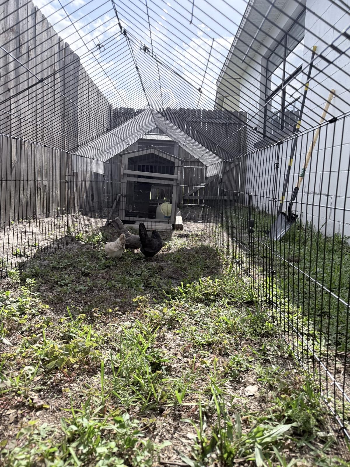 NUGRIART Metal Chicken Coop with Run - 157