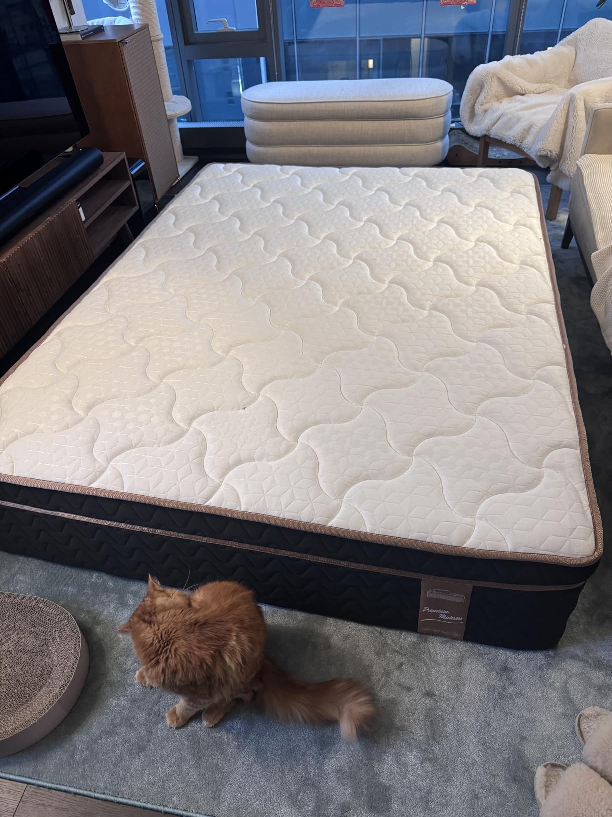 Queen Mattress 14 Inch, Cooling Hybrid Bed in a Box, Individual Pocket Springs, Motion Isolation, Targeted Hip/Shoulder/Lumbar Support, Fiberglass-Free, Ergonomic Zones, 365-Night Trial, CertiPUR-US customer photo 1