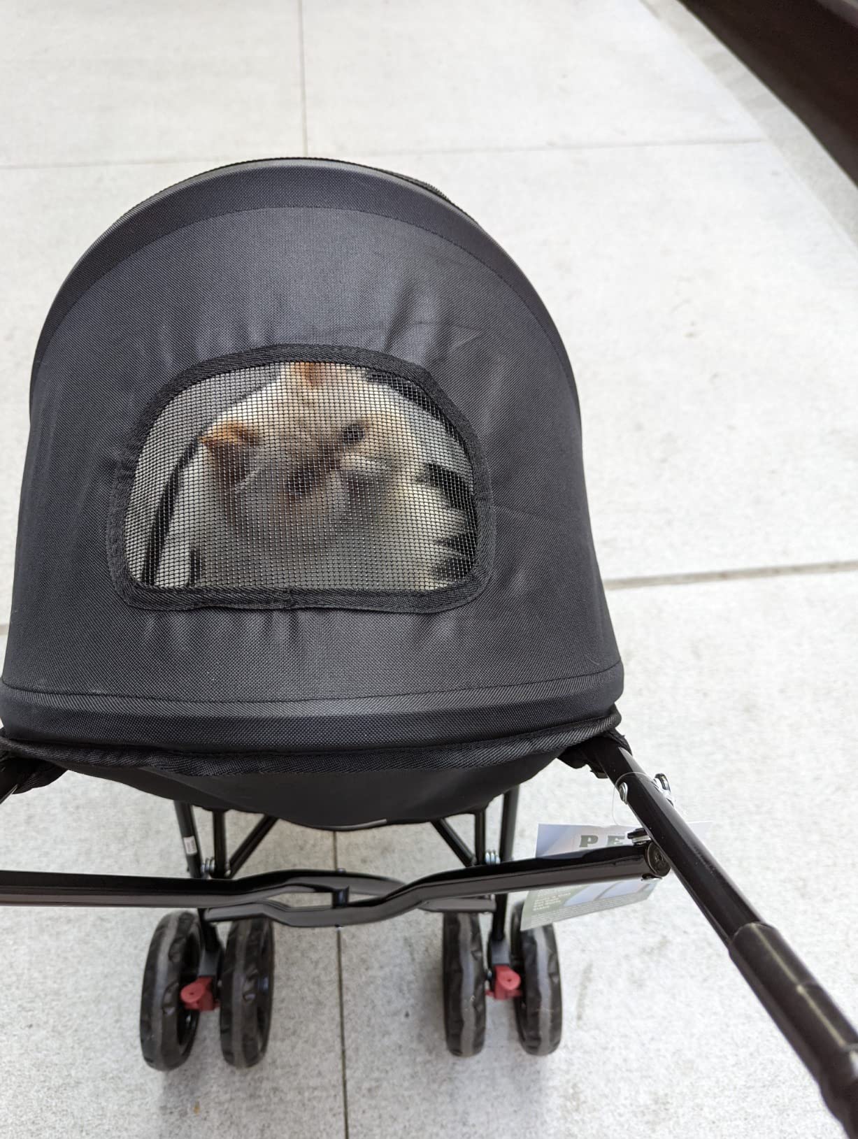Pet Gear Travel Lite Plus Stroller, Coral | For Cats and Dogs up to 15 Pounds, Compact Easy Fold, No Assembly Required, Large Wheels customer photo 2
