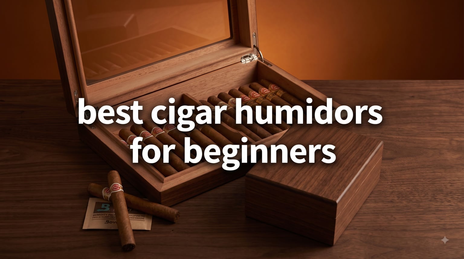 best cigar humidors for beginners