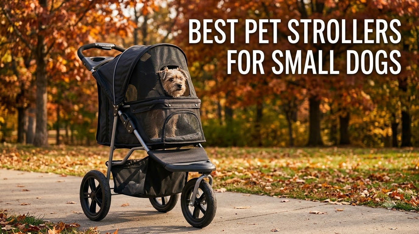 best pet strollers for small dogs